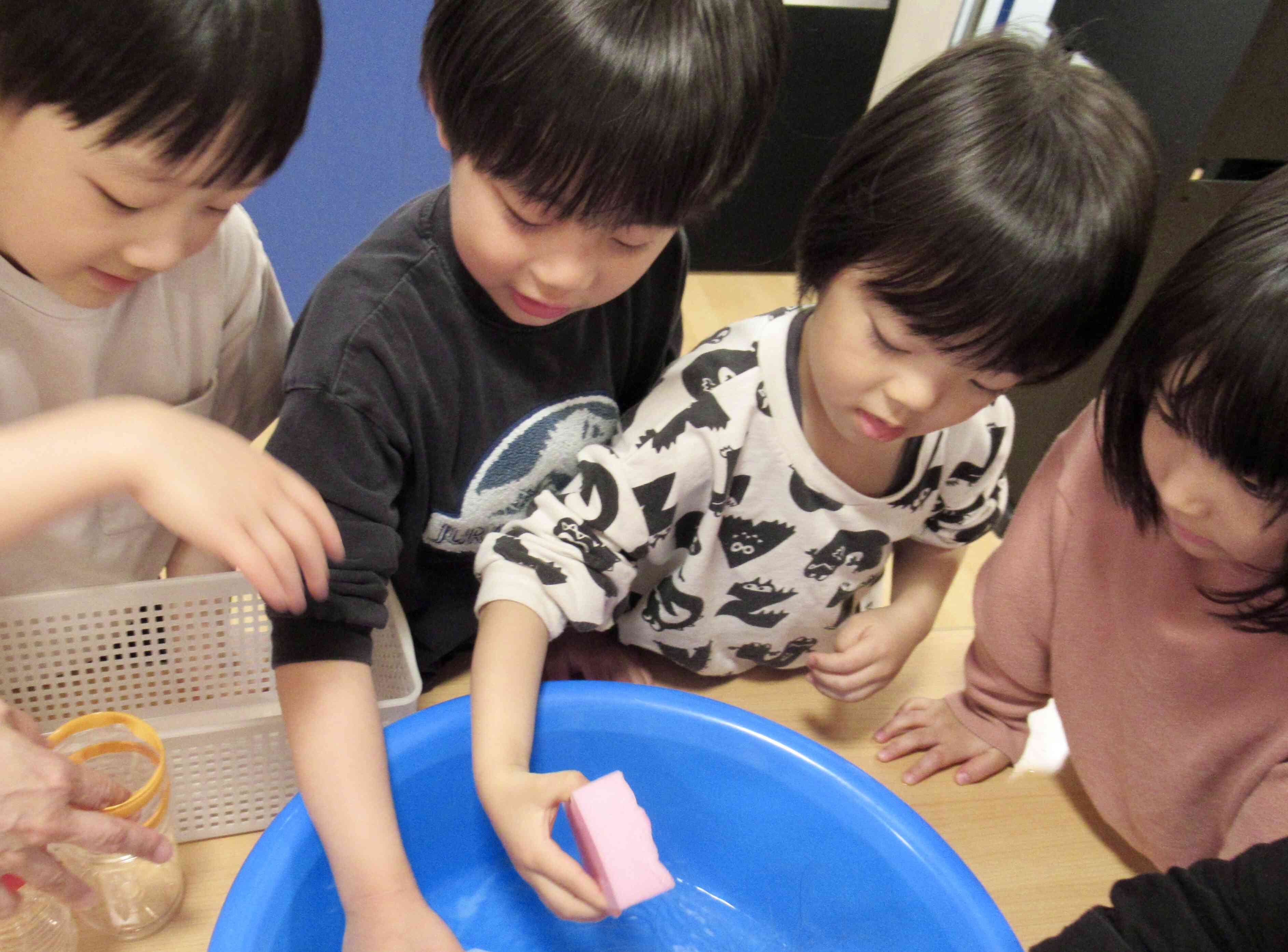 水耕栽培に挑戦！