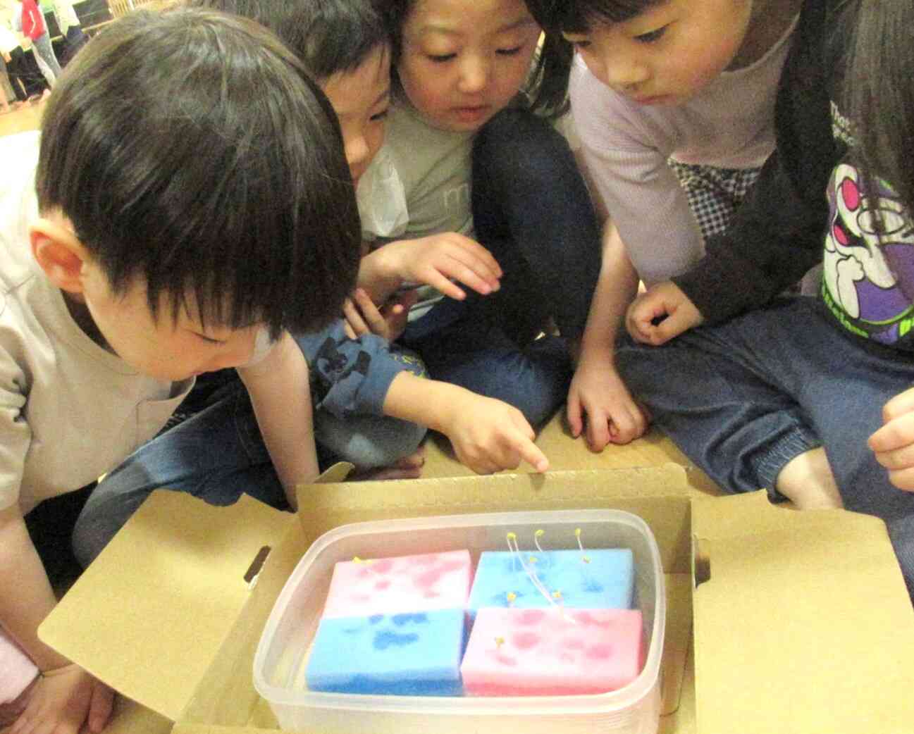 よく見たらあるよ！