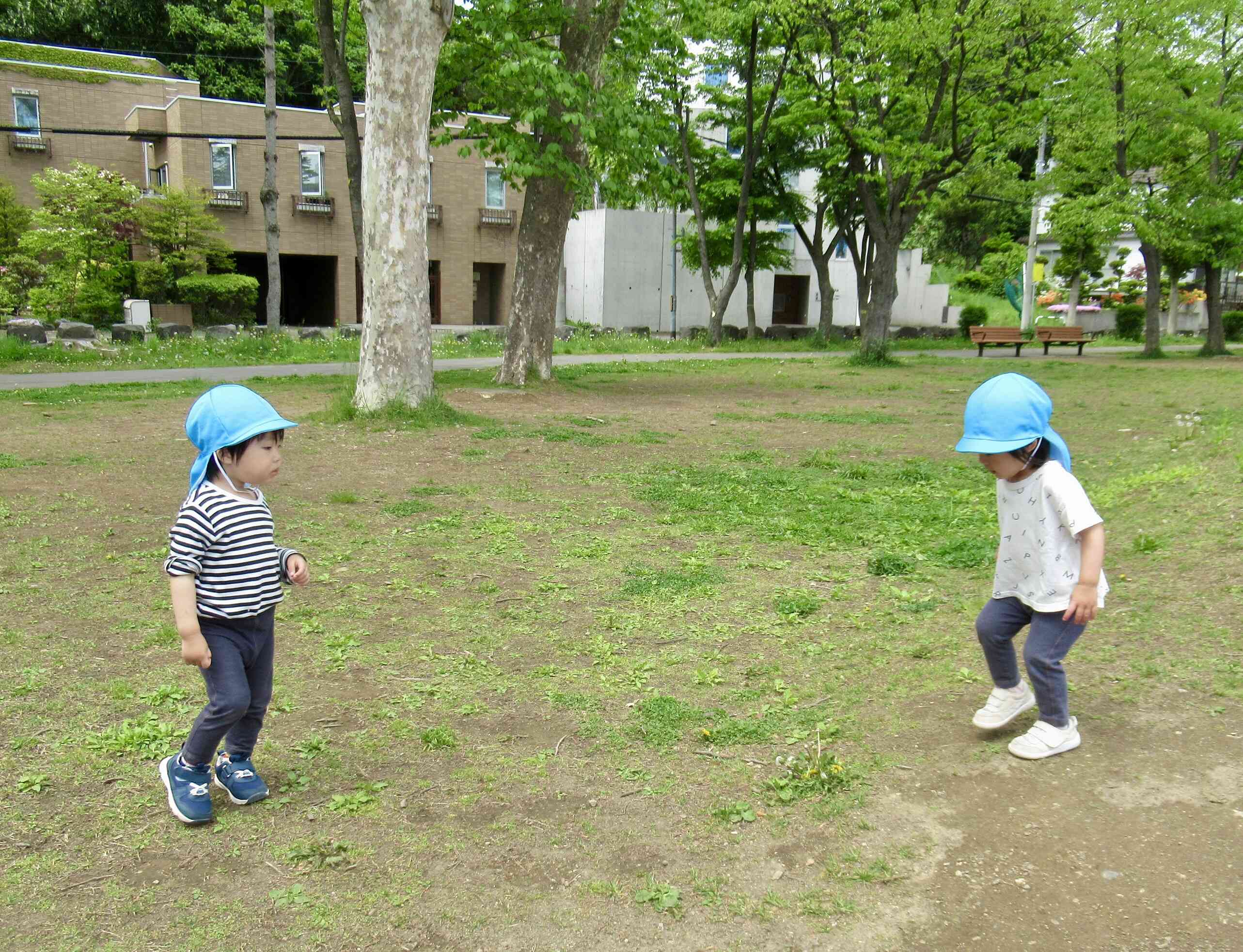 気持ちの良い6月です