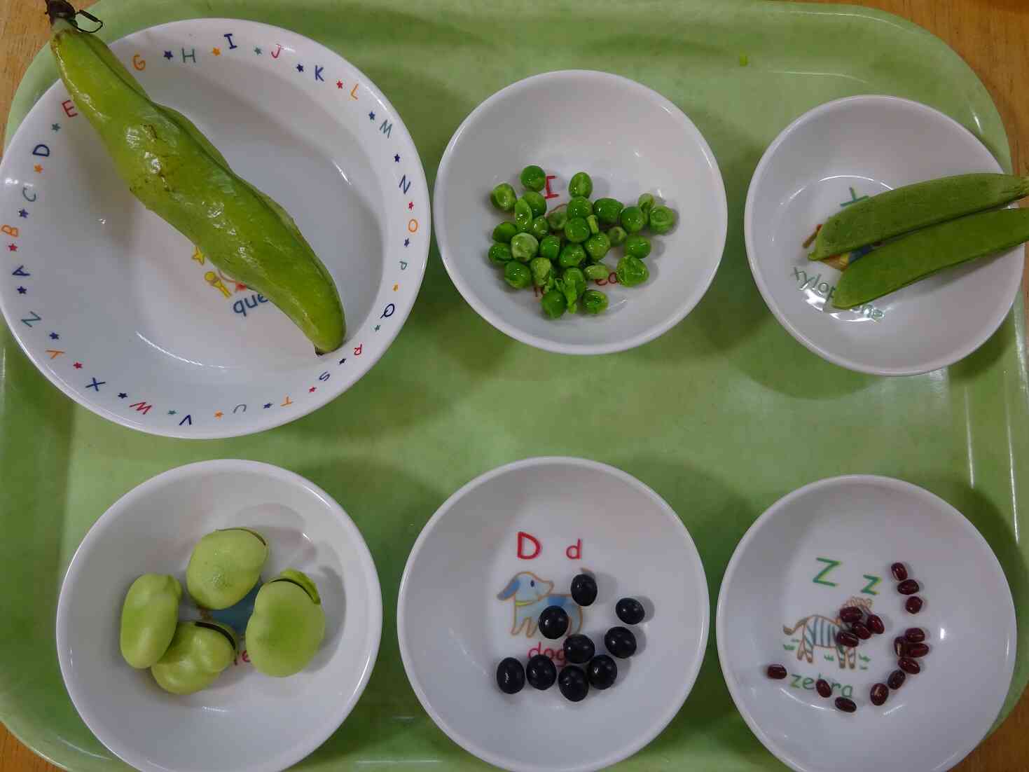 いろんなお豆がいっぱい