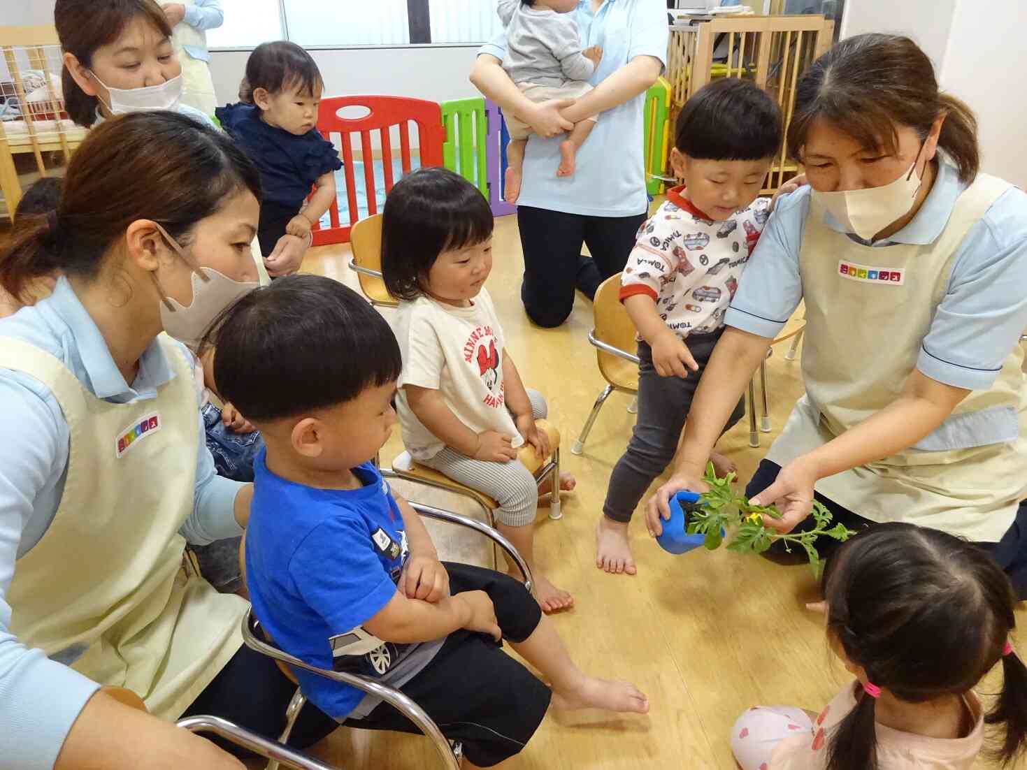 5月の様子から☆あひる組