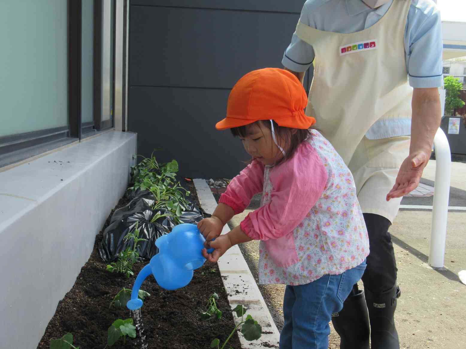 野菜やお芋を植えたよ★食育の日（2歳児）