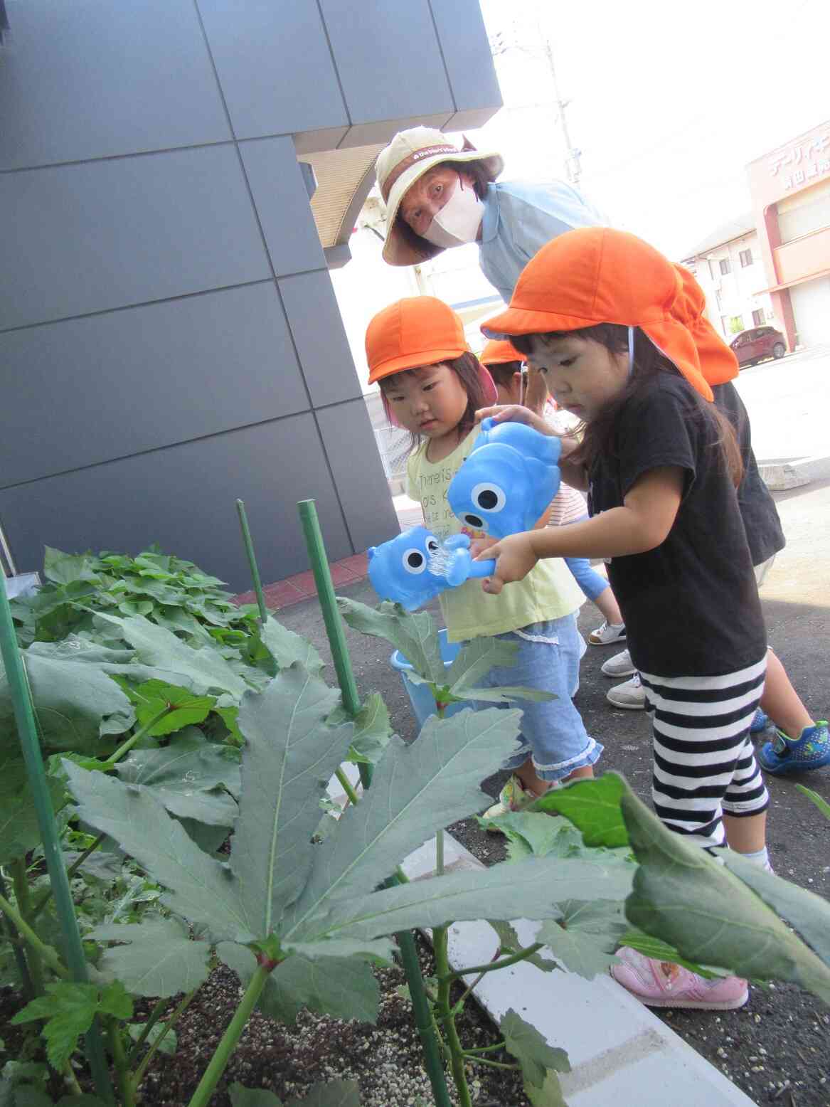 野菜の水かけ♫