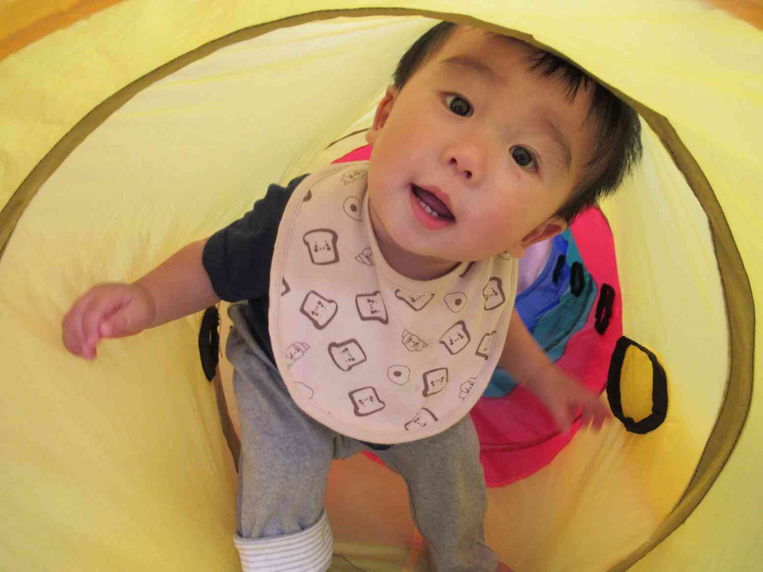 見て見て！ばあ～！（0歳児）