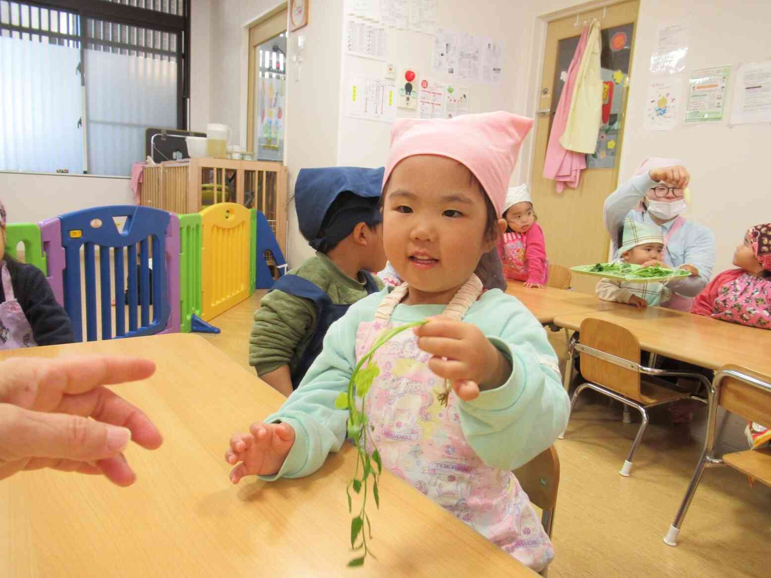 七草をさわってみたよ♫