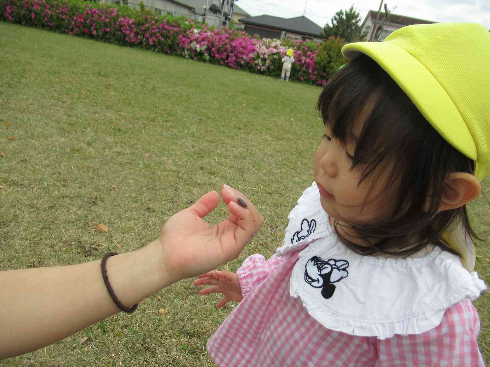 ダンゴムシ発見！