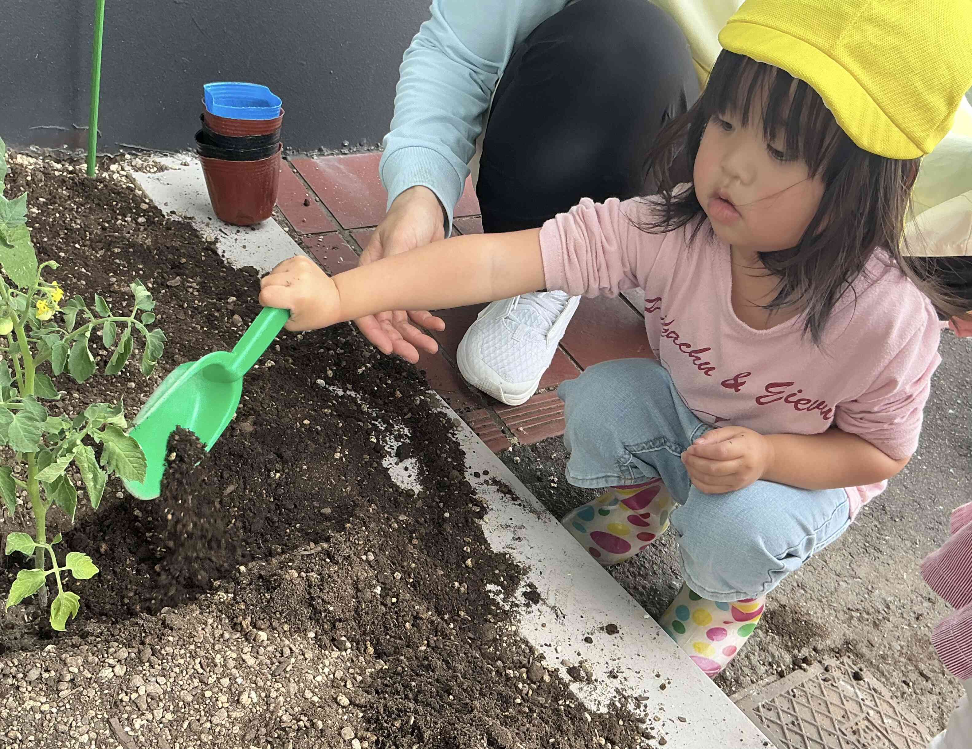 上手にできた！