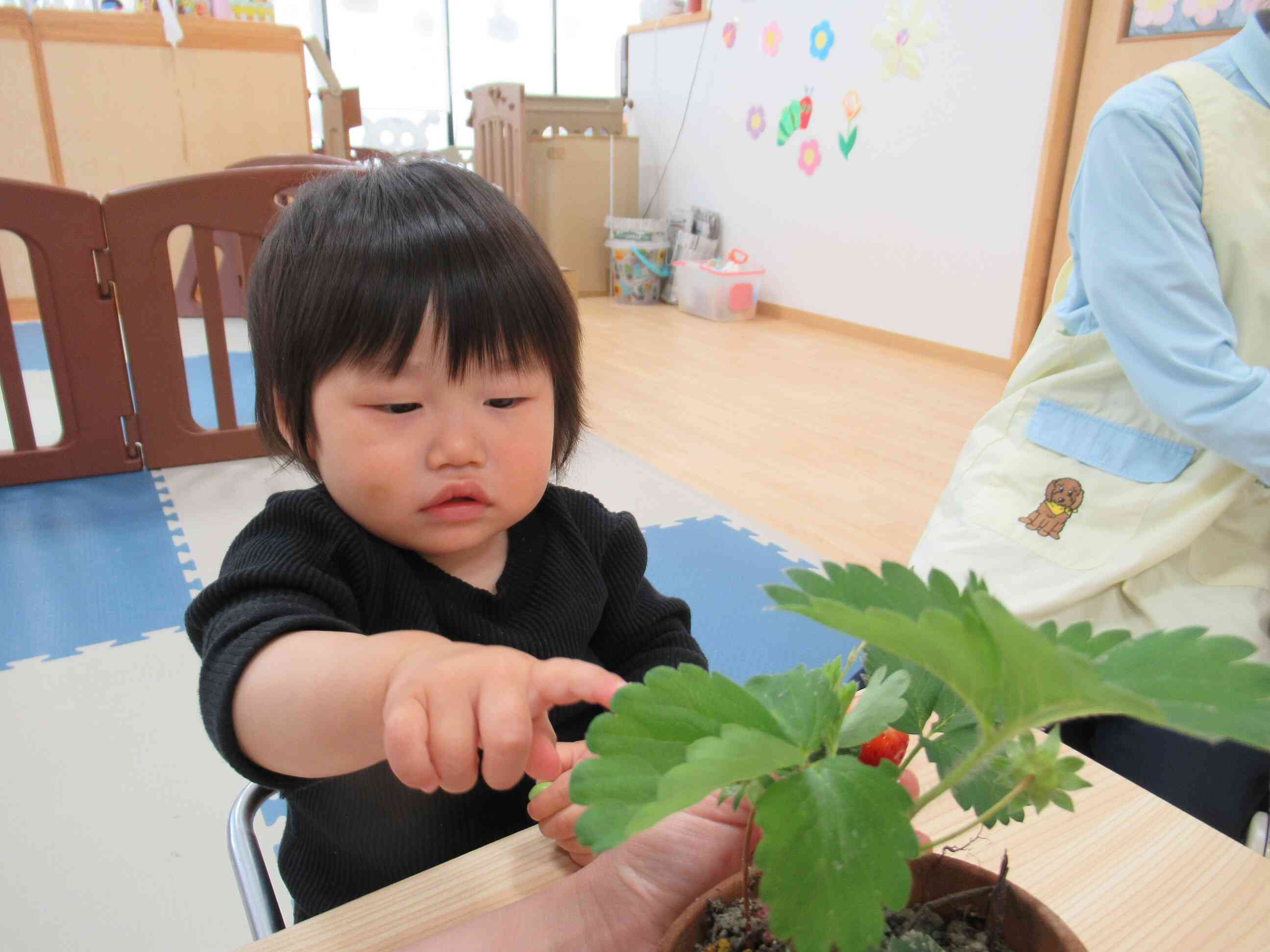 「ここにあるよ」同じクラスのお友達が見つけてくれました。