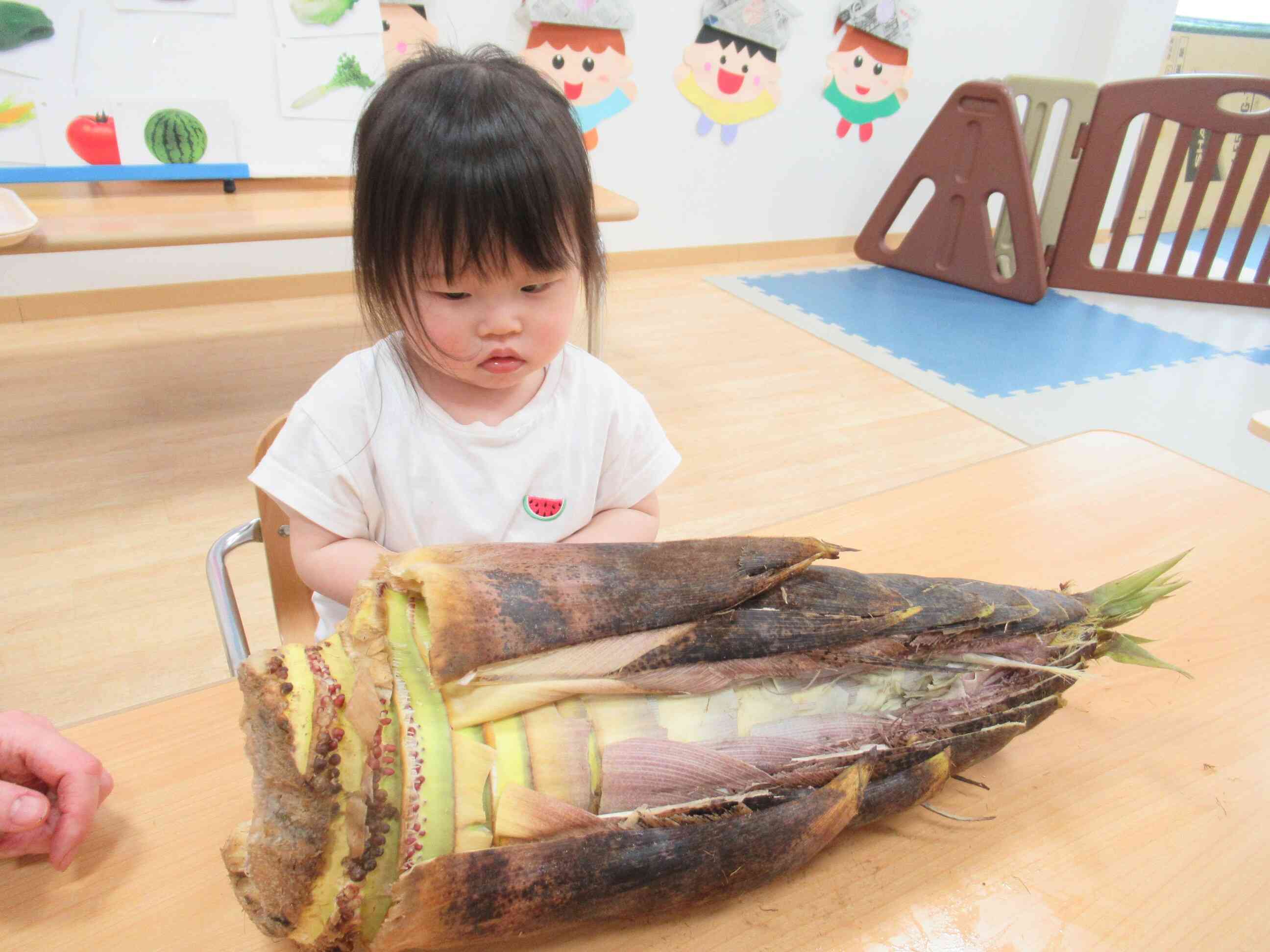 大きいな!