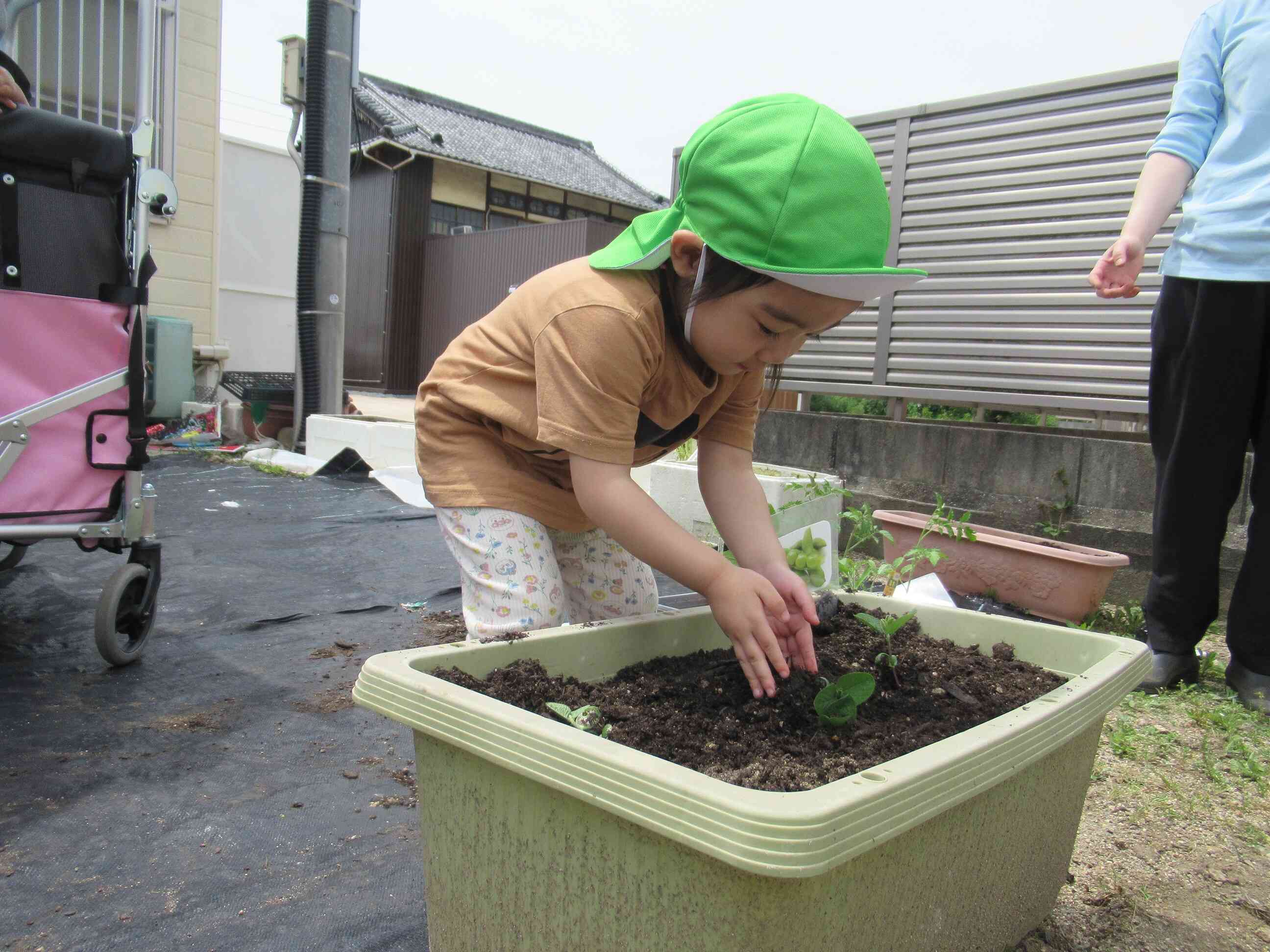 私は枝豆を植えました。給食にも出るから、沢山出来ますように。