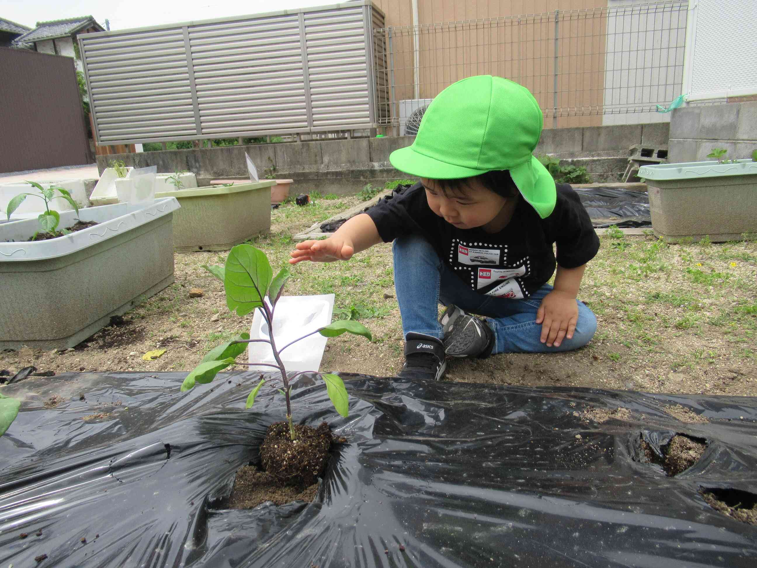 今年も頑張ってね