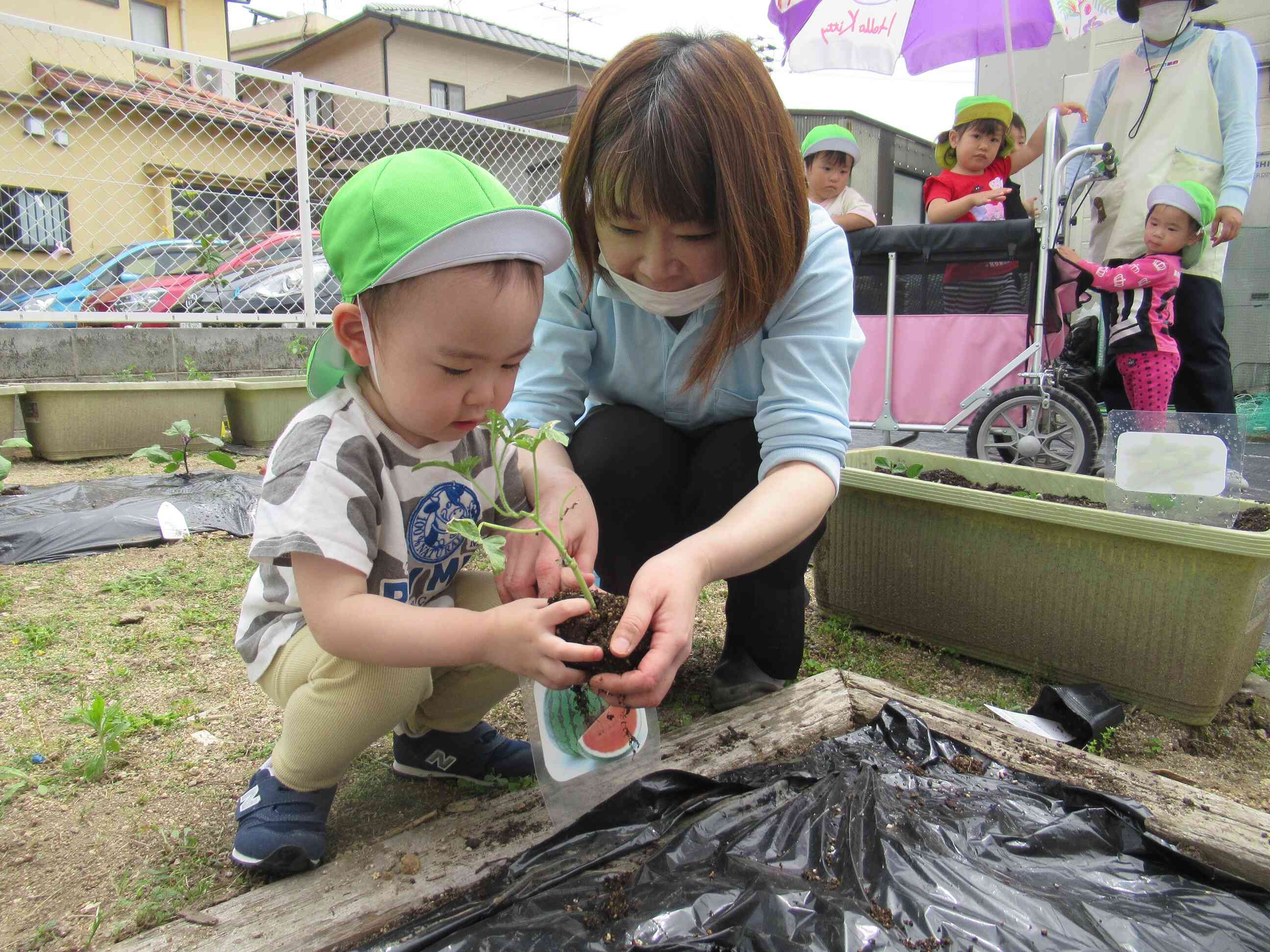 スイカ大好きです