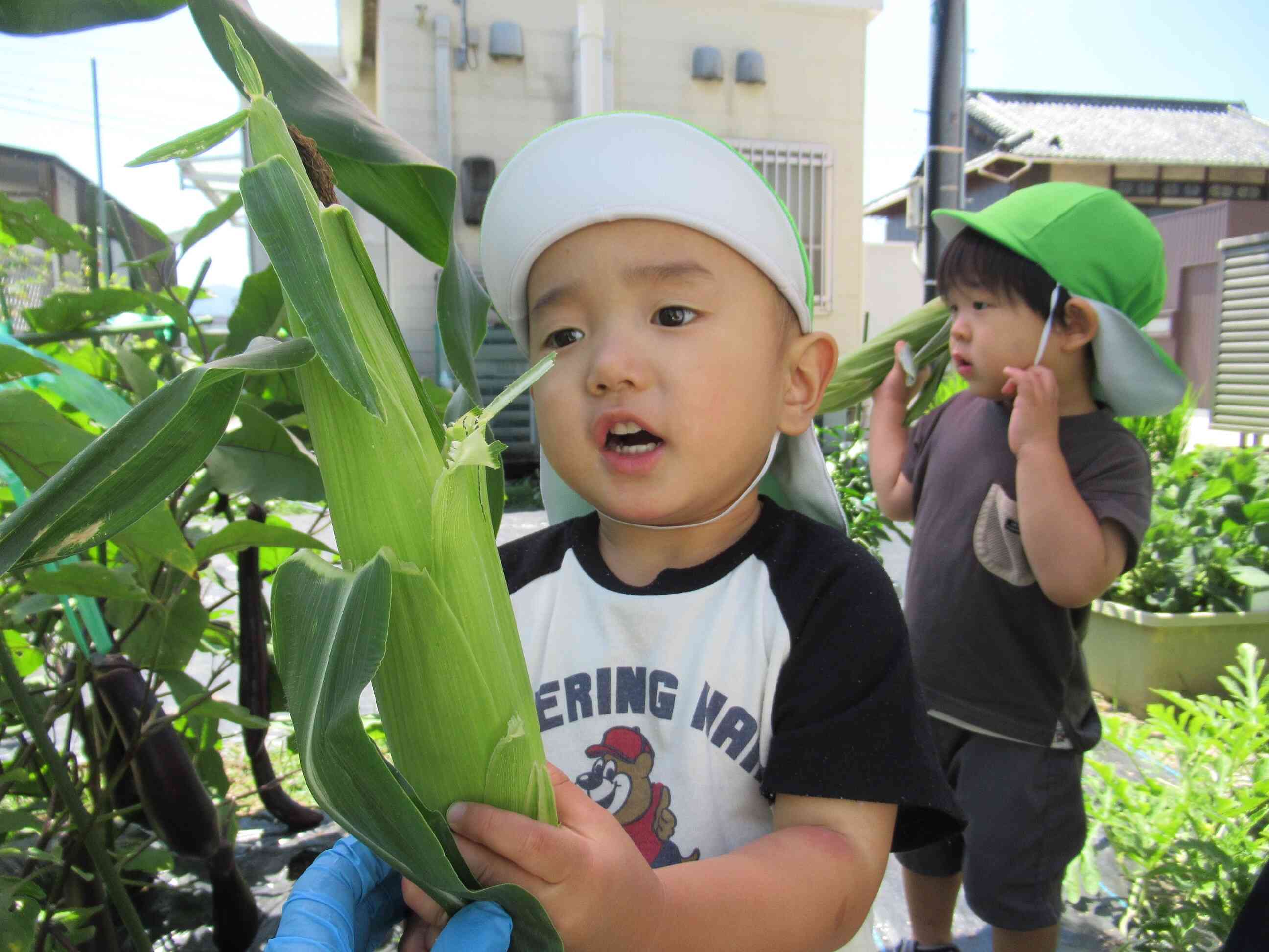 大きいの採れたよ