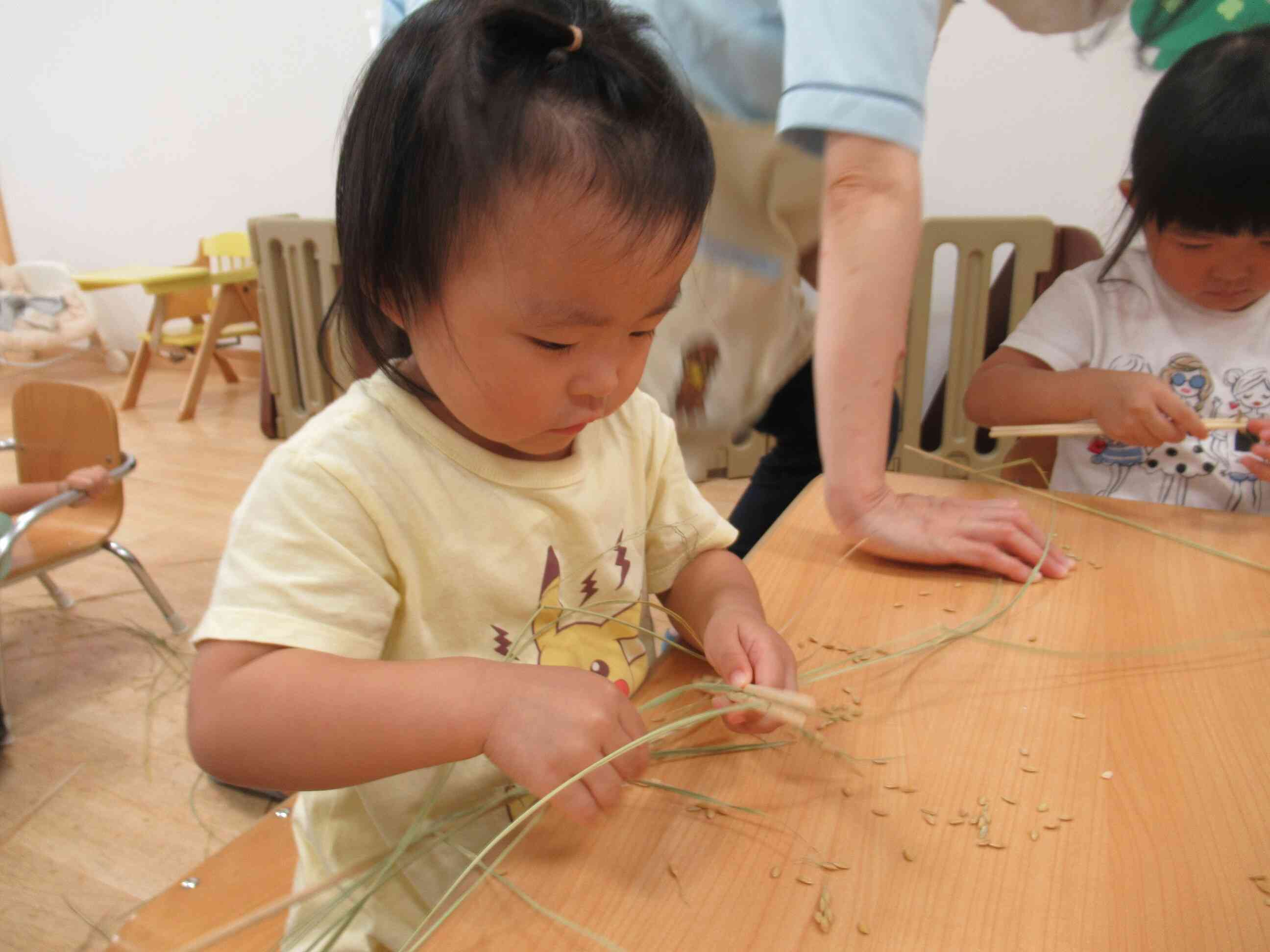 お米にするために、脱穀します。2歳児クラスのお友達は、自分で出来ました。