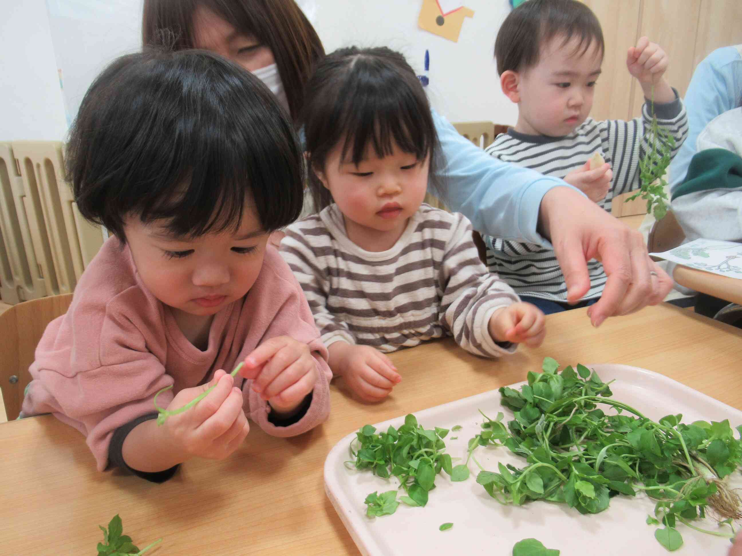 実際に触りました。