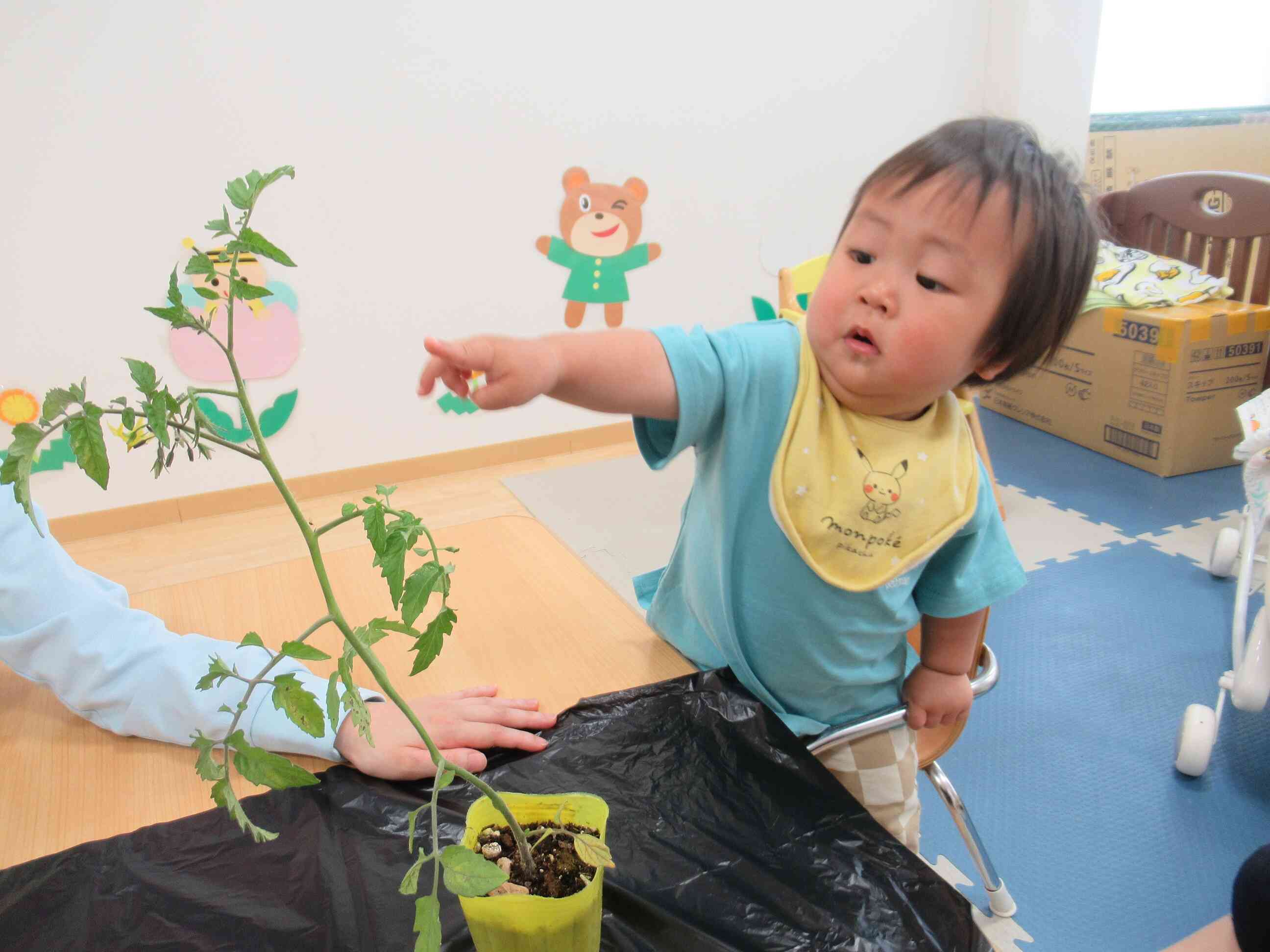 花が咲いているよ