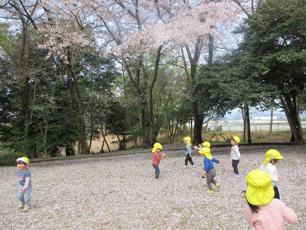 ドキドキ！うさぎ組スタート♪（1･2歳児）