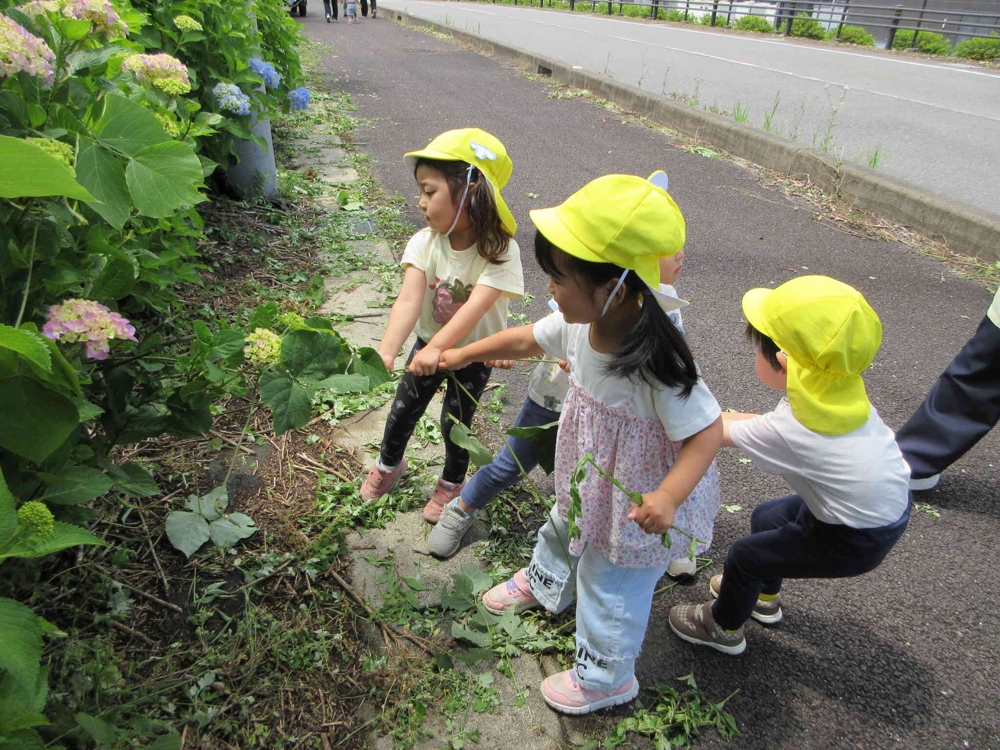 皆で力を合わせて、ヤギさんの餌を調達するぞ～!!「うんとこしょ!!どっこいしょ!!まだまだエサはとれませ～ん」