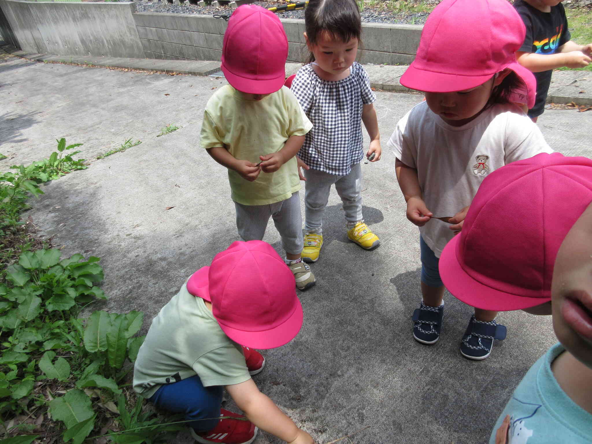 みーつけた！（1歳児）