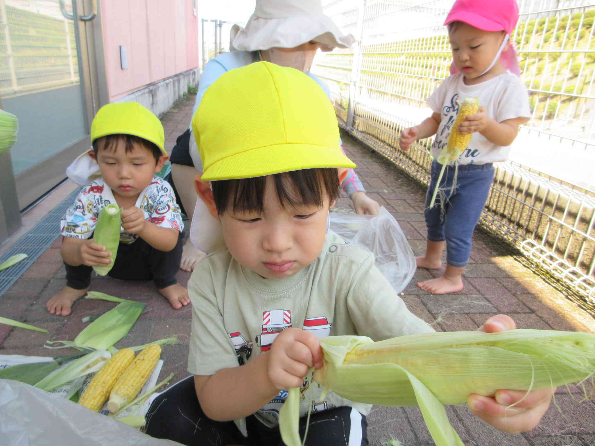 トウモロコシの皮むきしたよ～♪(2歳児)