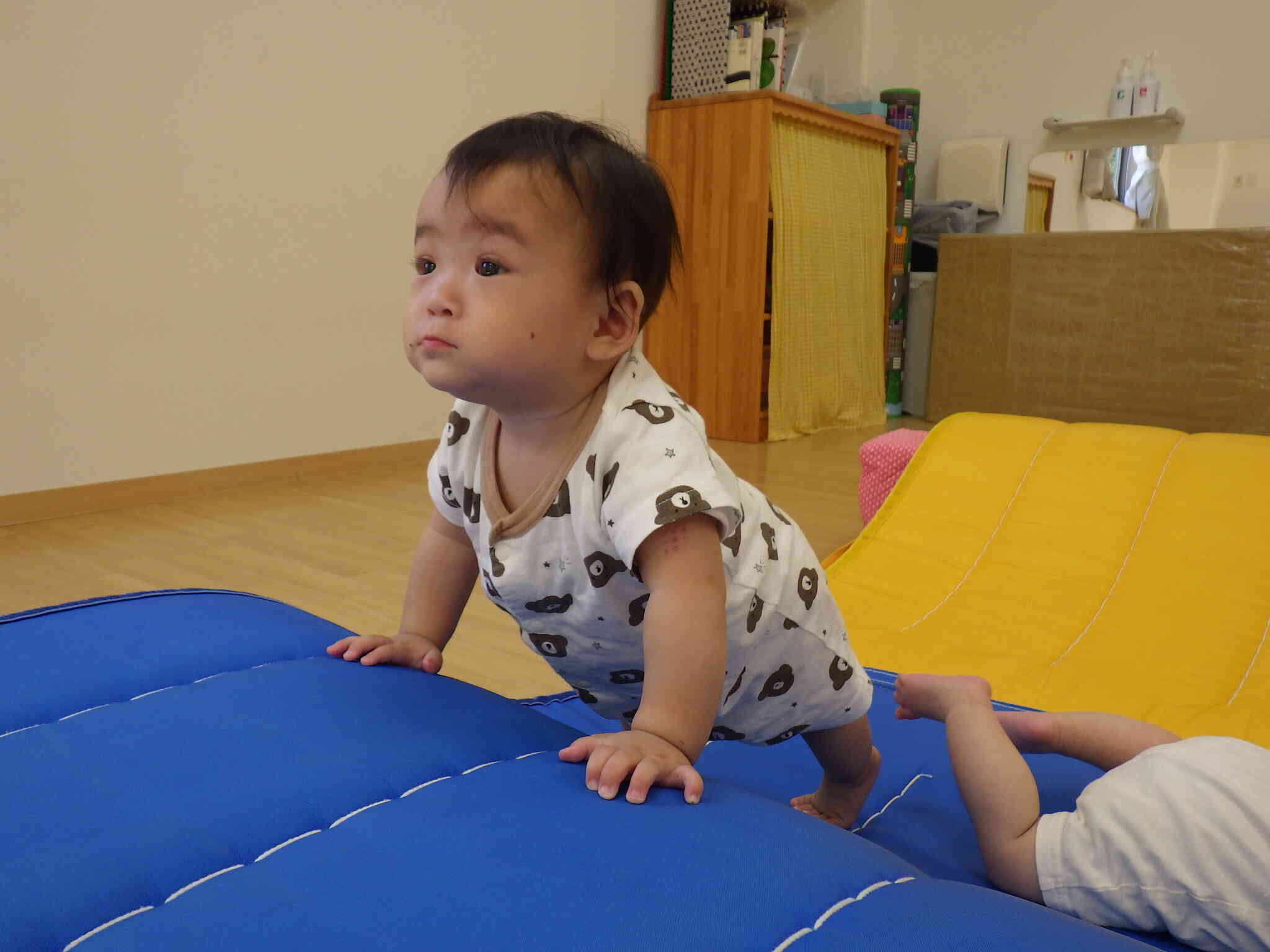 よし！登るぞ～！