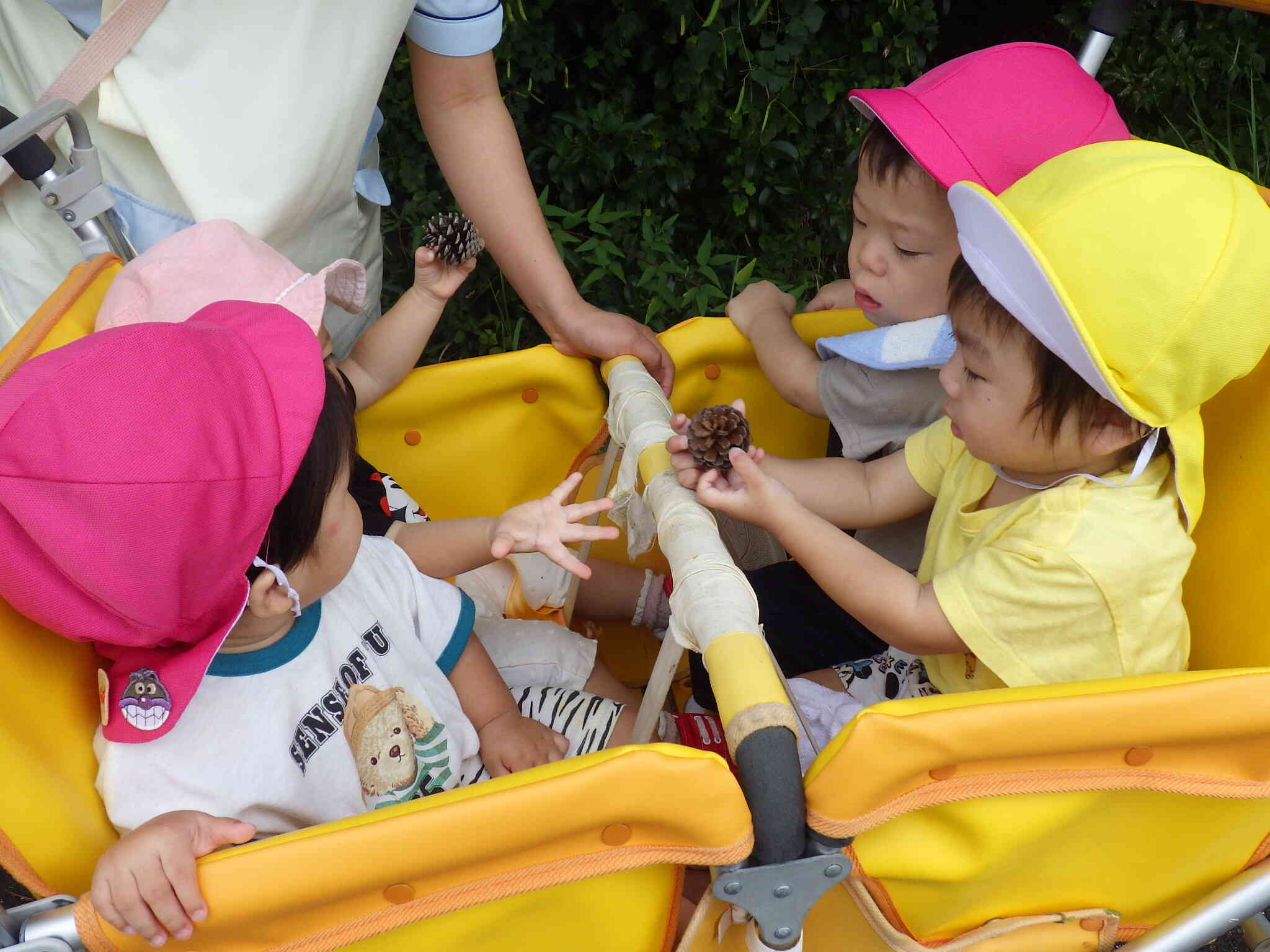 見て、触って、歩いて!楽しいお散歩♪(0歳児)