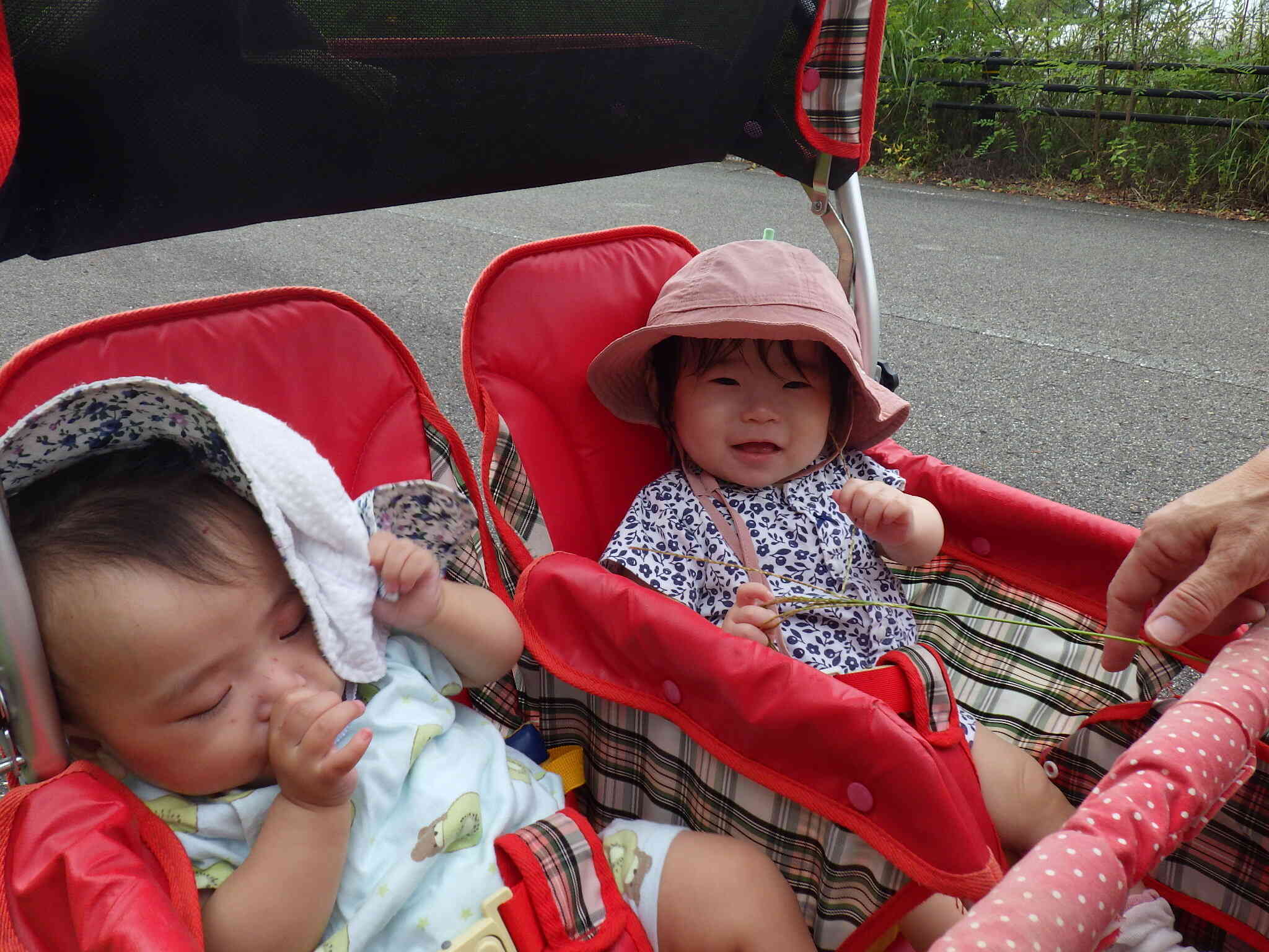 散歩車の心地よい揺れにスヤスヤ・・・