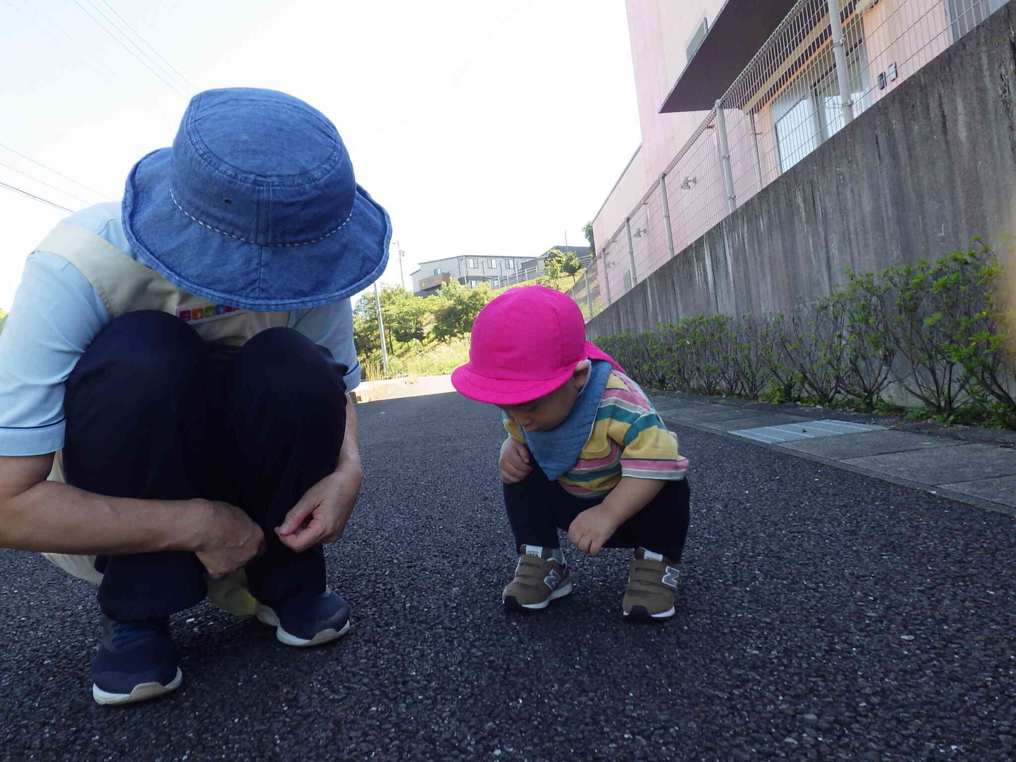 地面に何か落ちてるかな～？