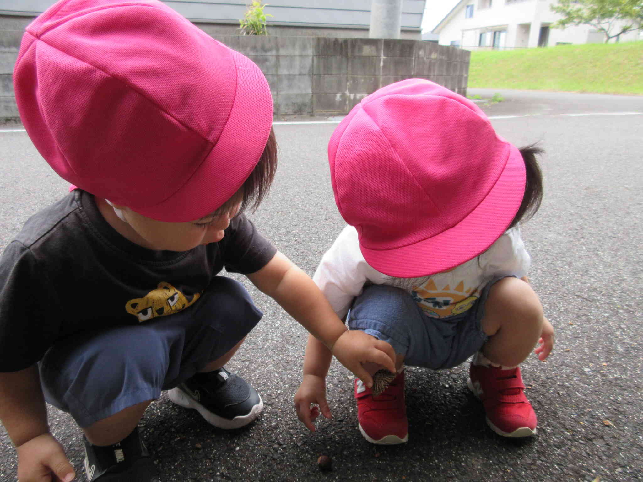 これあげるよ！どうぞ♪