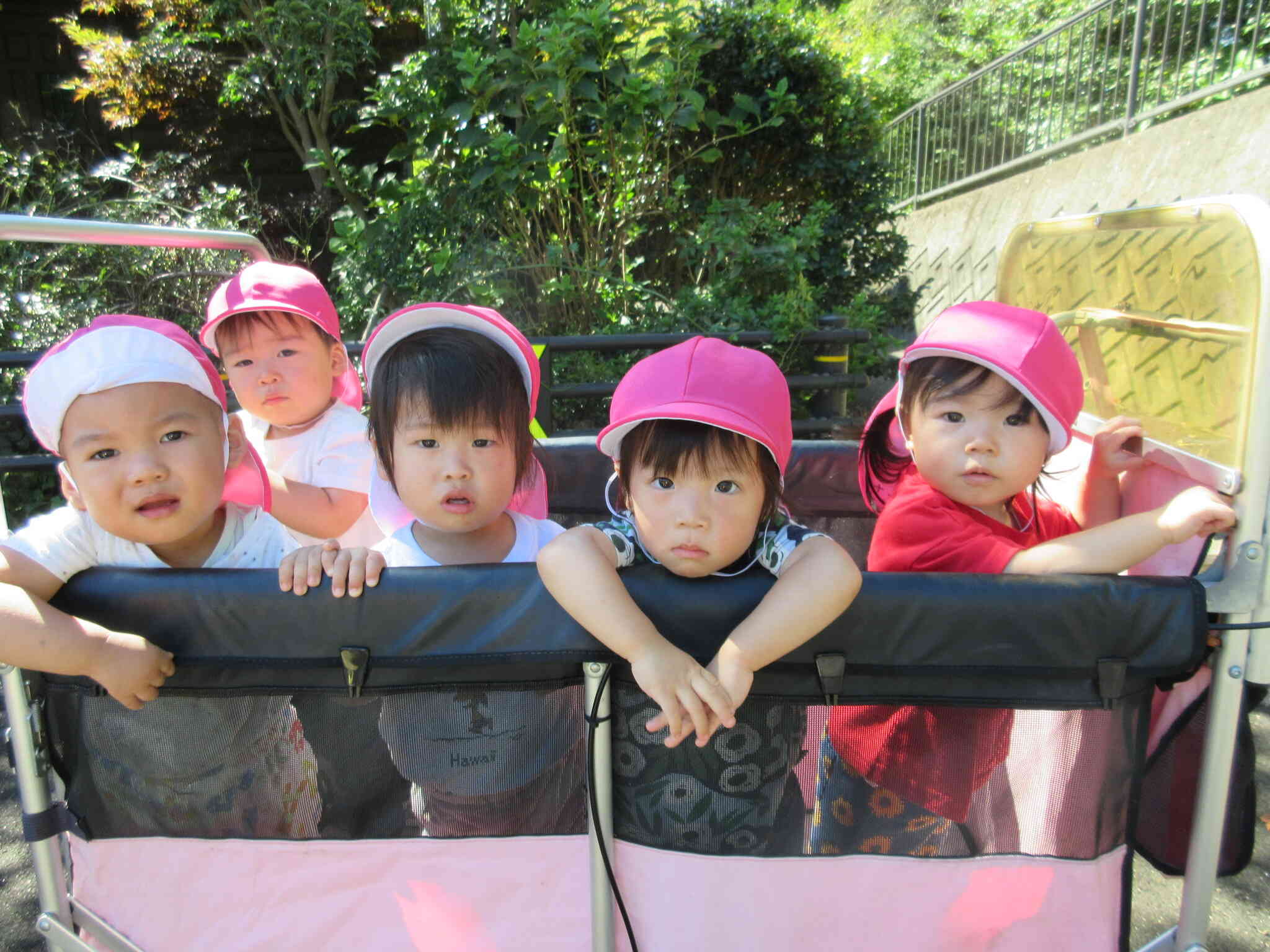 散歩車に乗ってしゅっぱ～つ！！