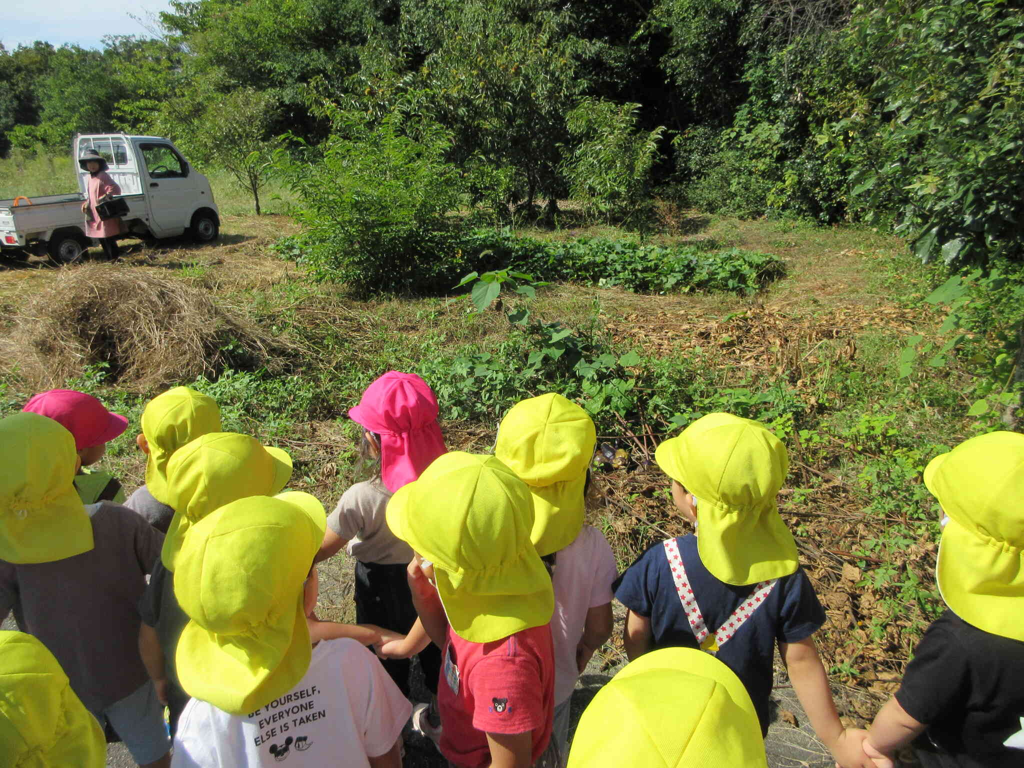 何作ってるの？