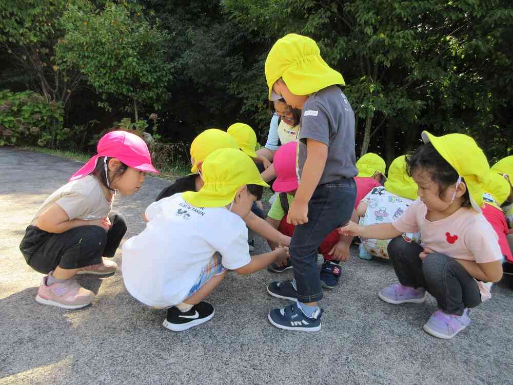 くっつき虫取って～