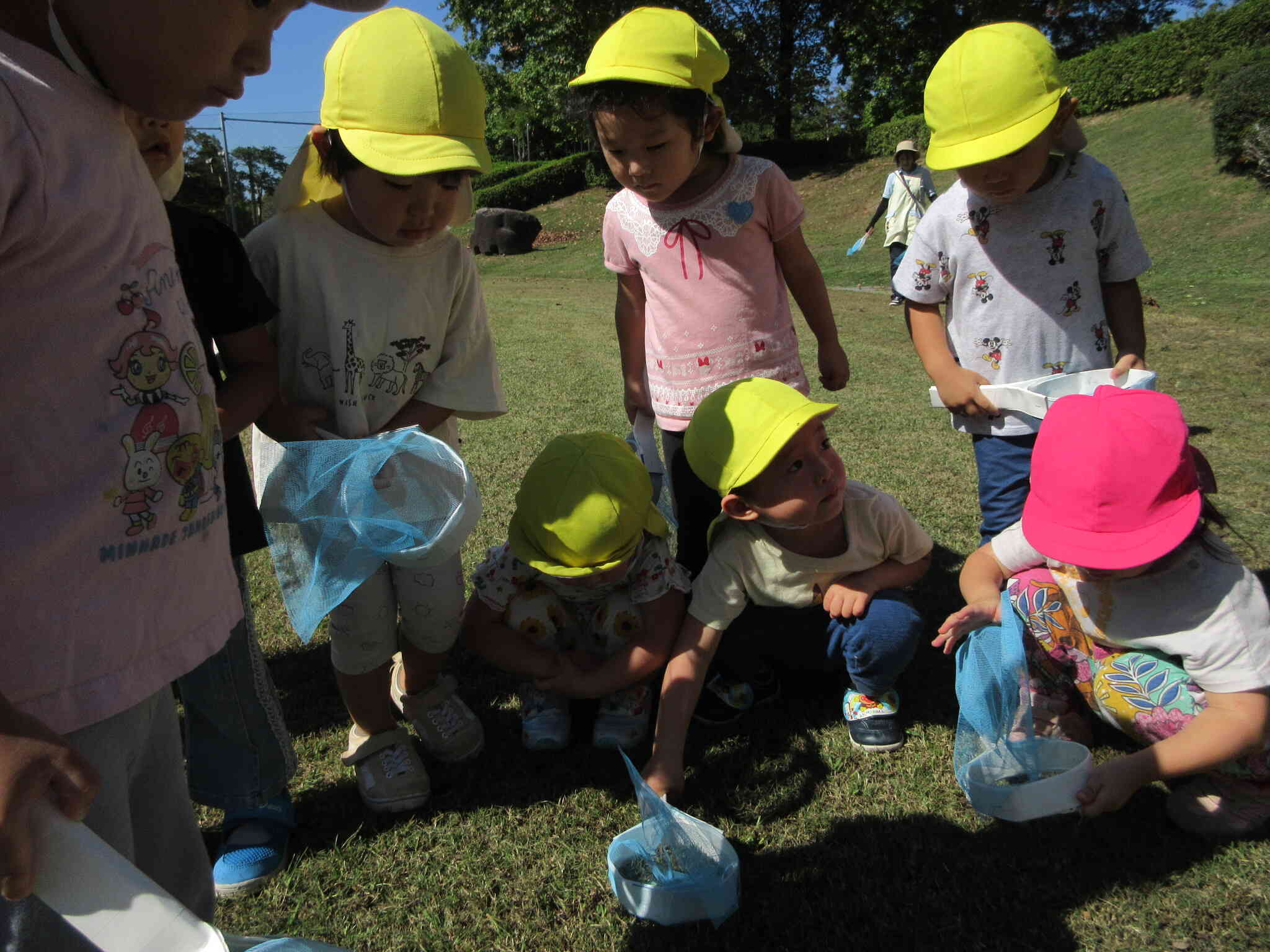 お友だちが捕まえたカマキリを皆で観察～
