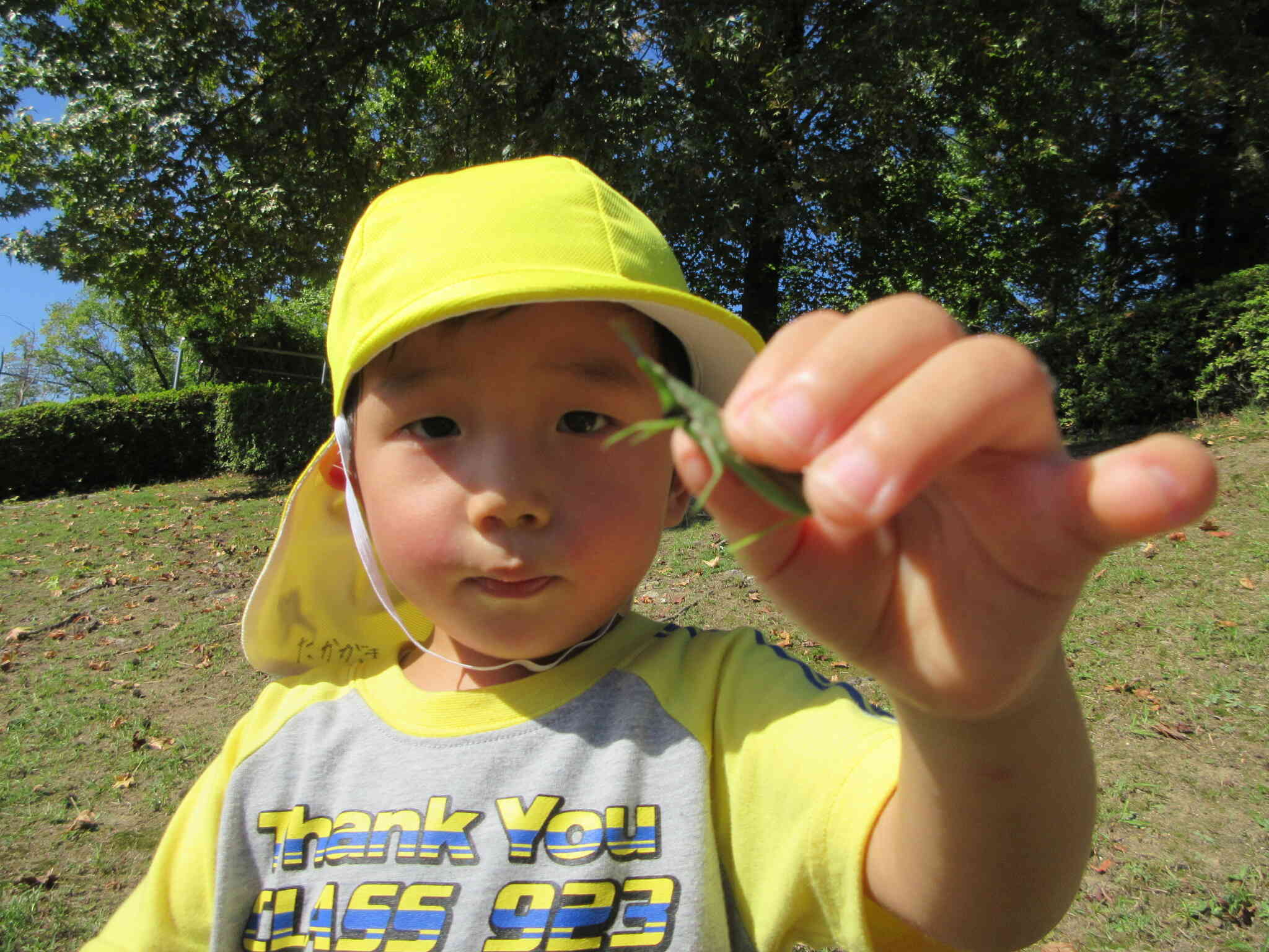 バッタつかまえたよ～