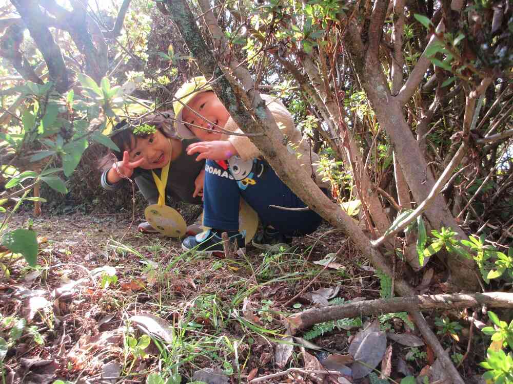 木陰からこんにちは！