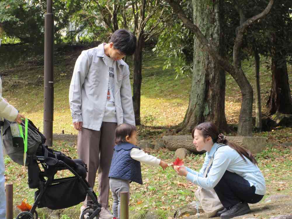 葉っぱみつけたよ。