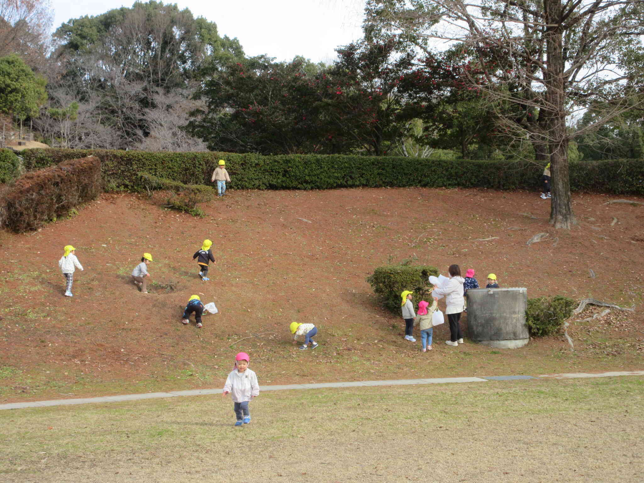 寒さに負けず散歩に行こう！！（うさぎ組）