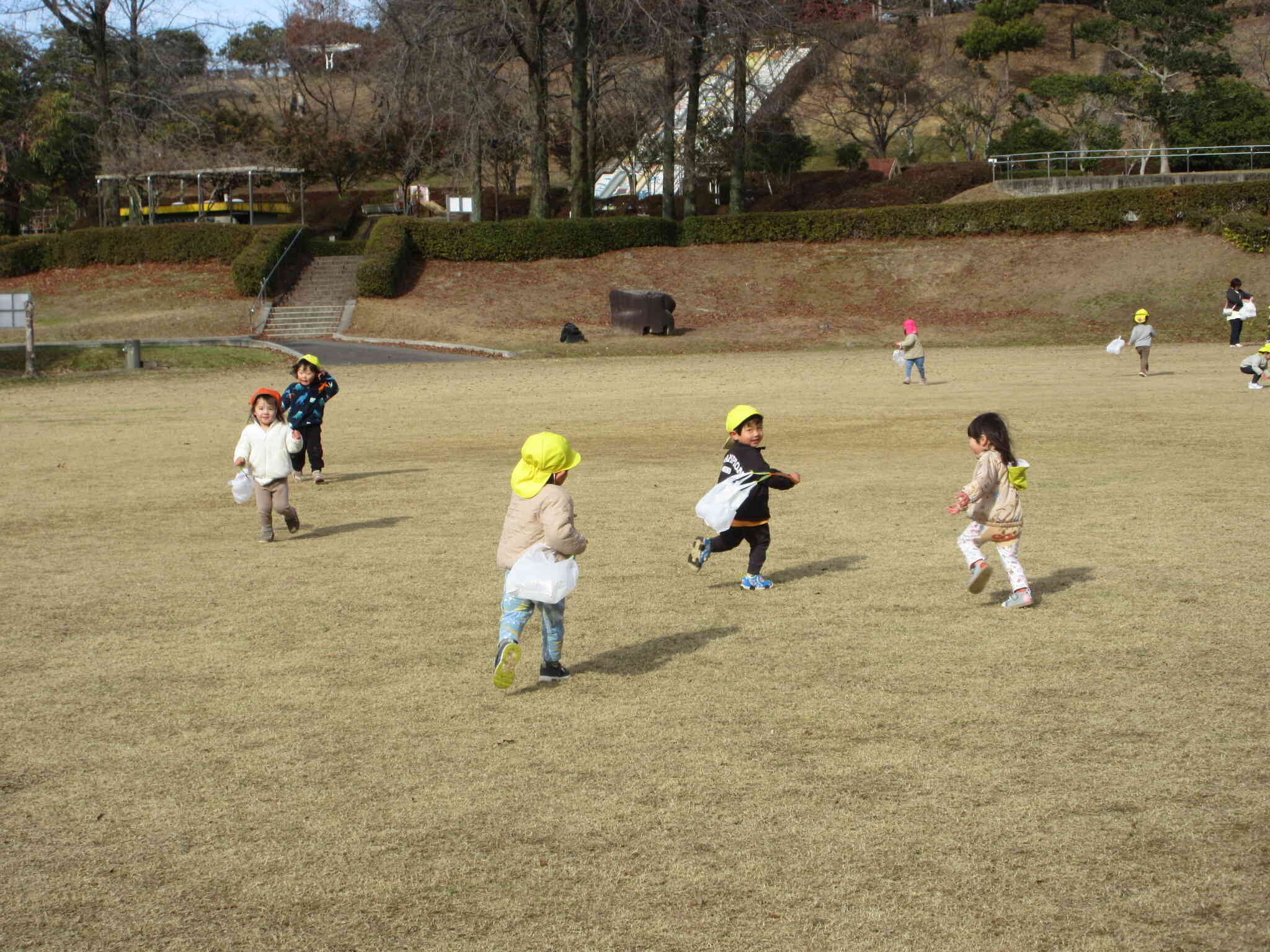 凧上がってる？