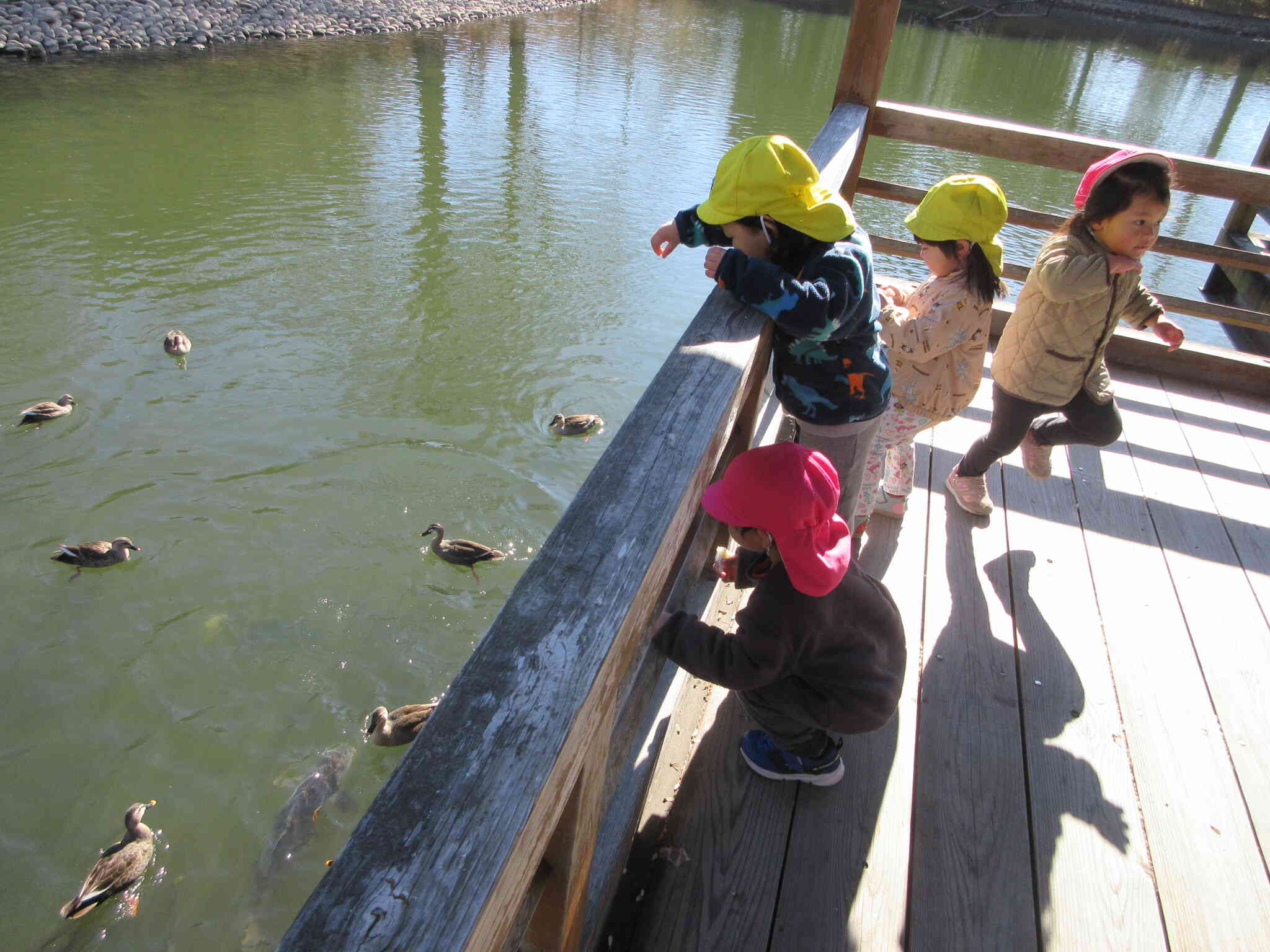お待たせ～餌だよ～