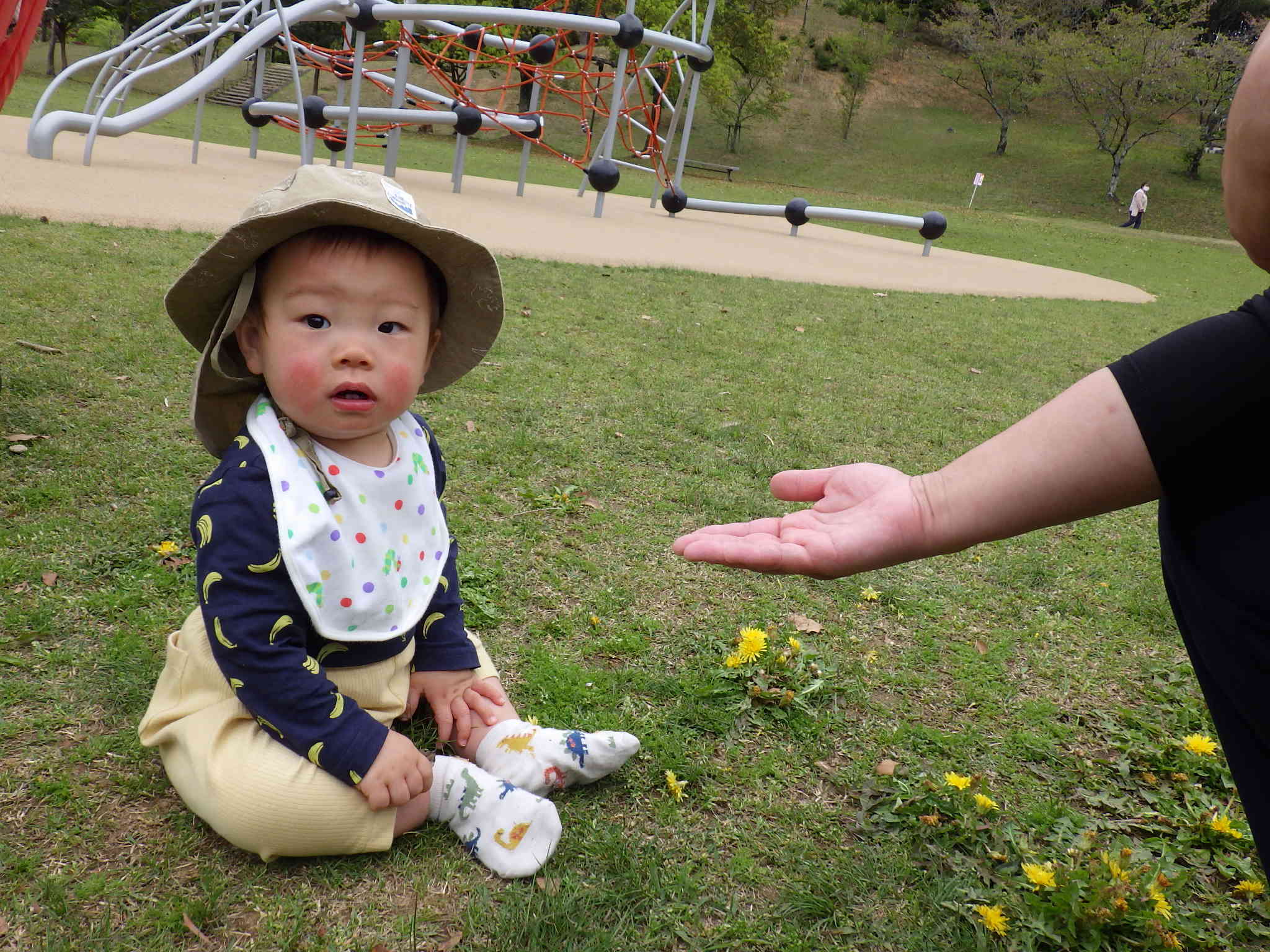 保育者にタンポポどうぞしようとしたけど、気配を感じてカメラ目線のYくん。