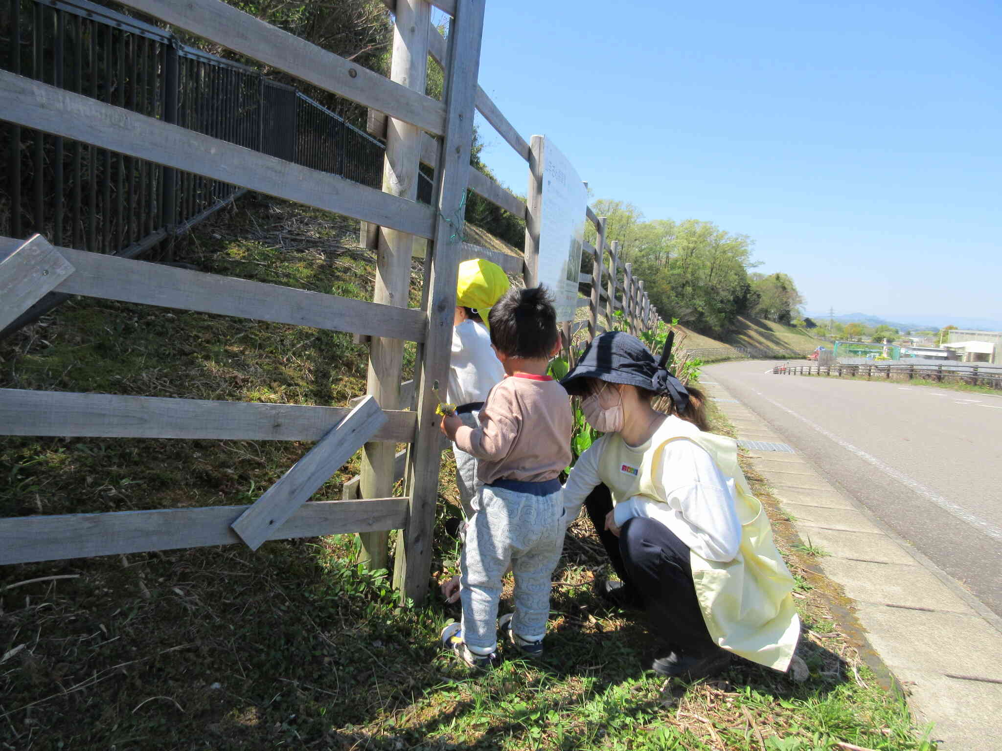 今日はやぎさん来ないかな？