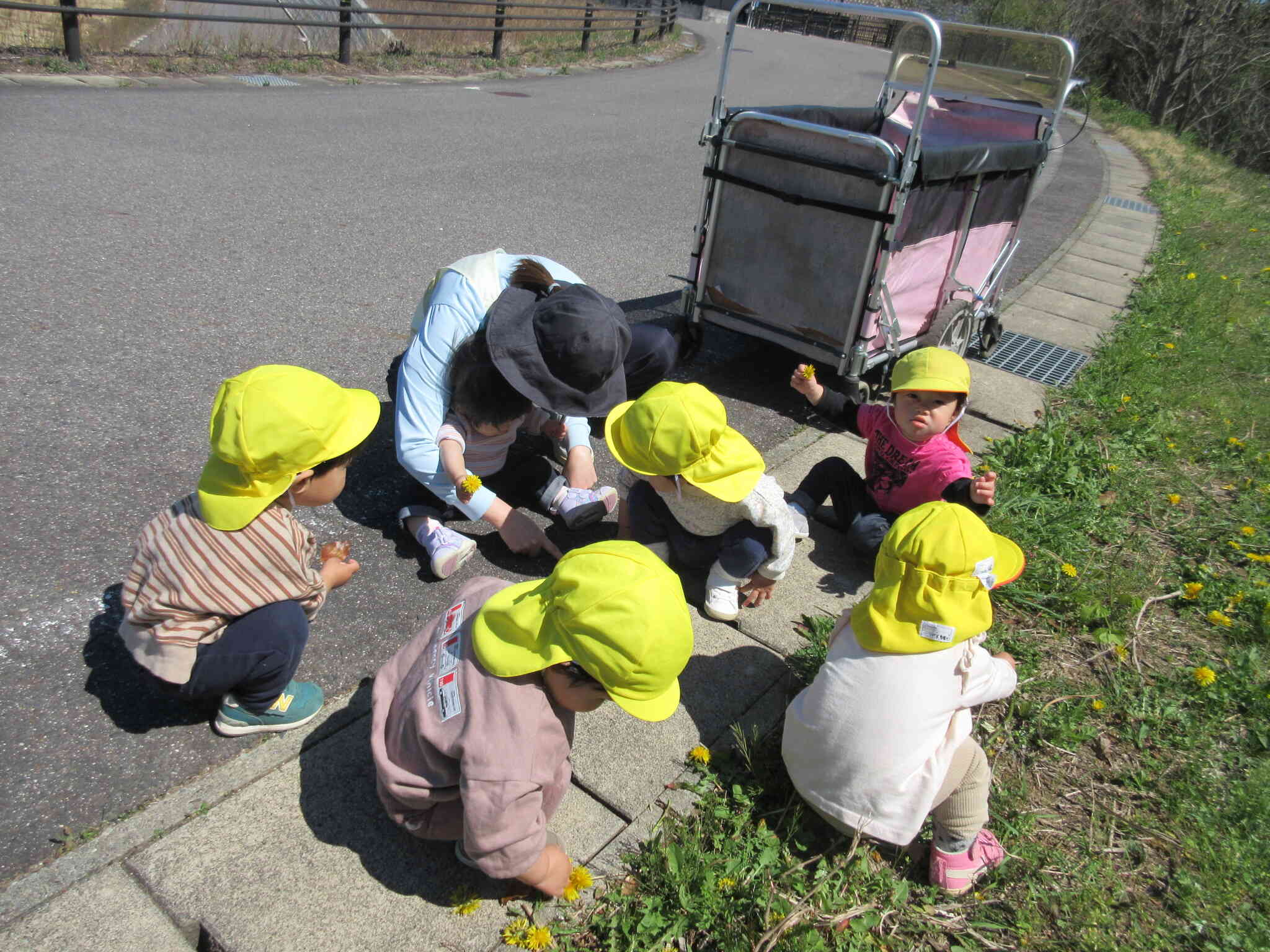たんぽぽ見つけた！