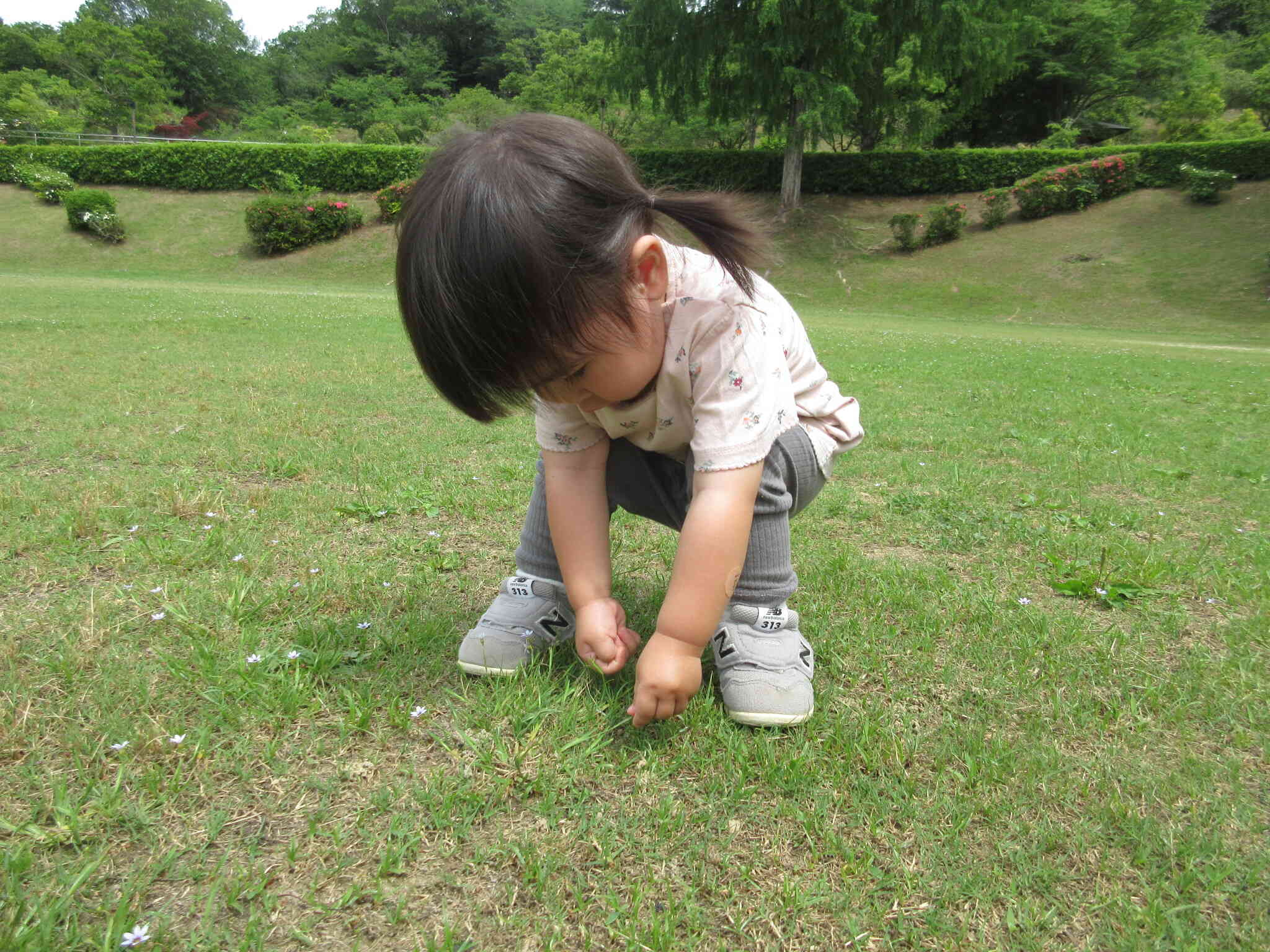 みーつけた！