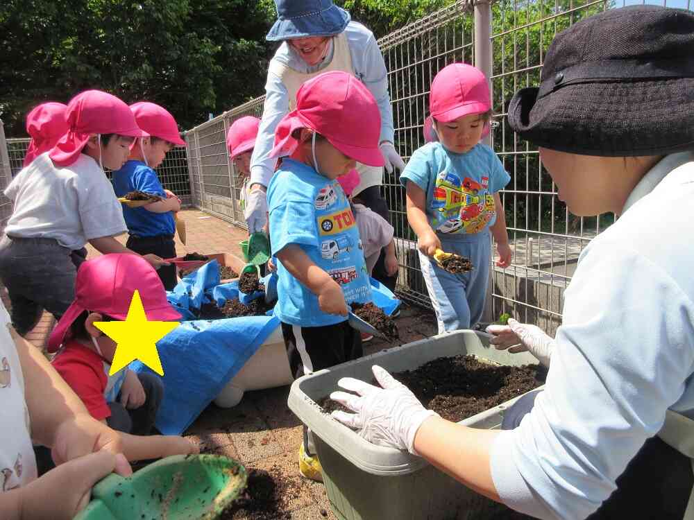 土に触れて野菜の苗や朝顔の種を植えてみたよ!(2歳児)