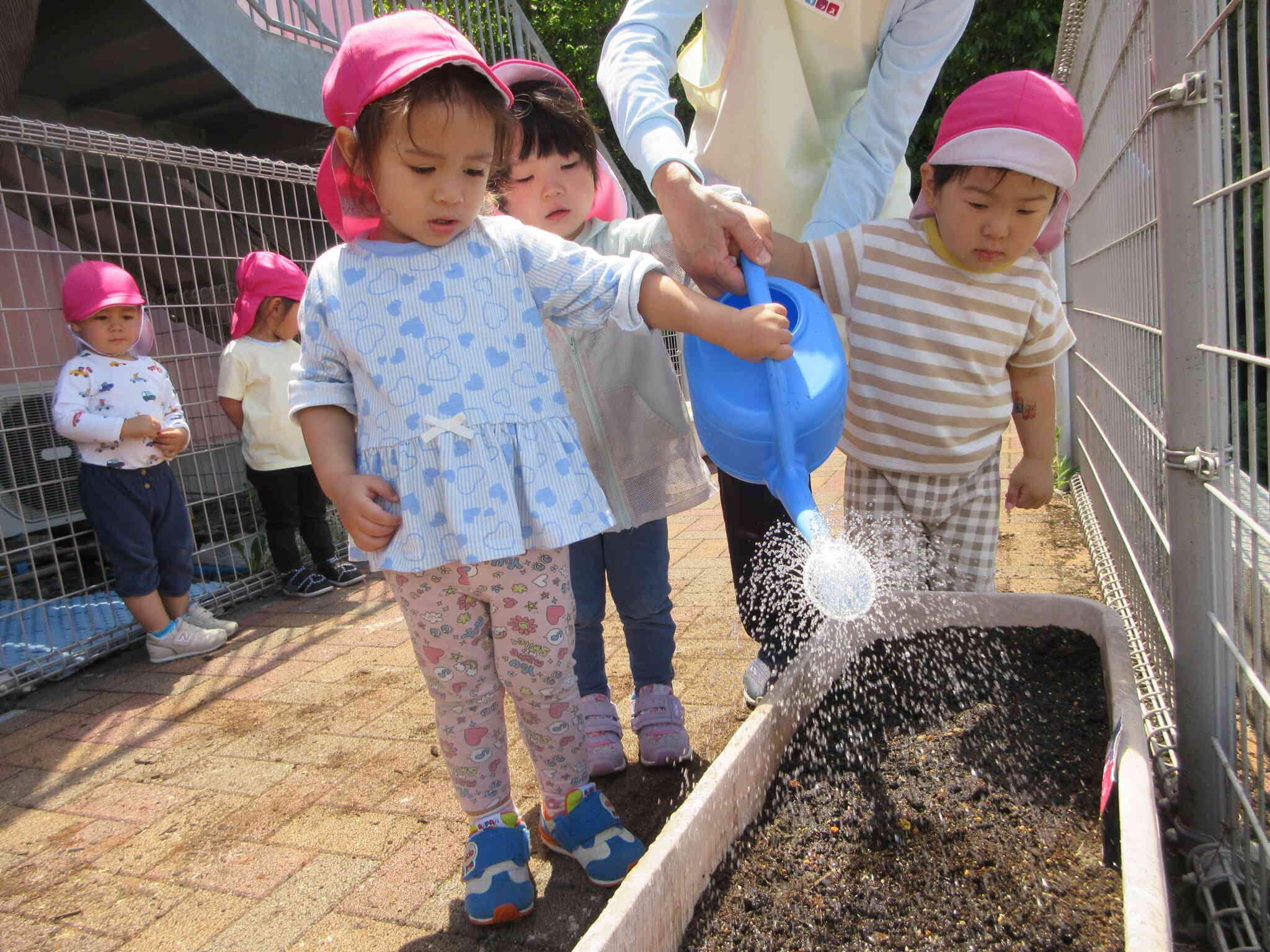はやく芽を出してね　待っているよ♪