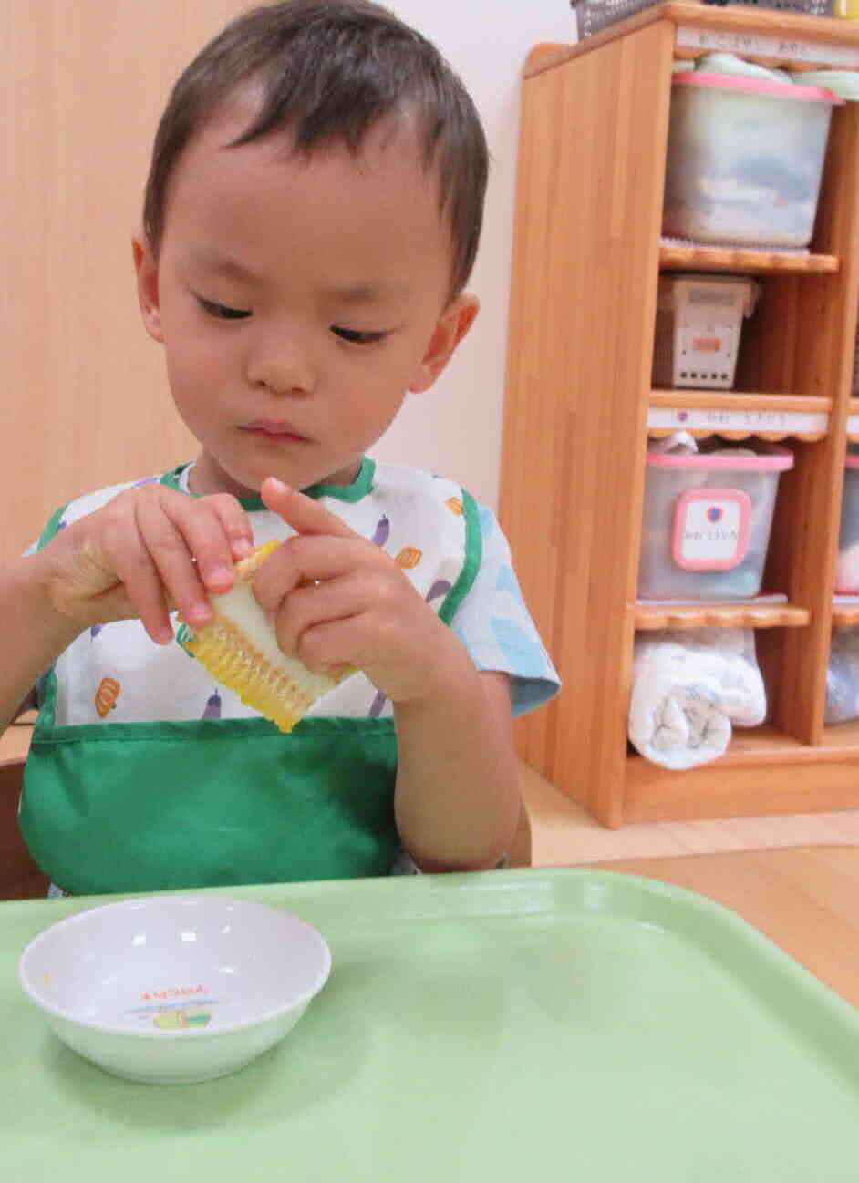 とうもろこし、とるぞう!