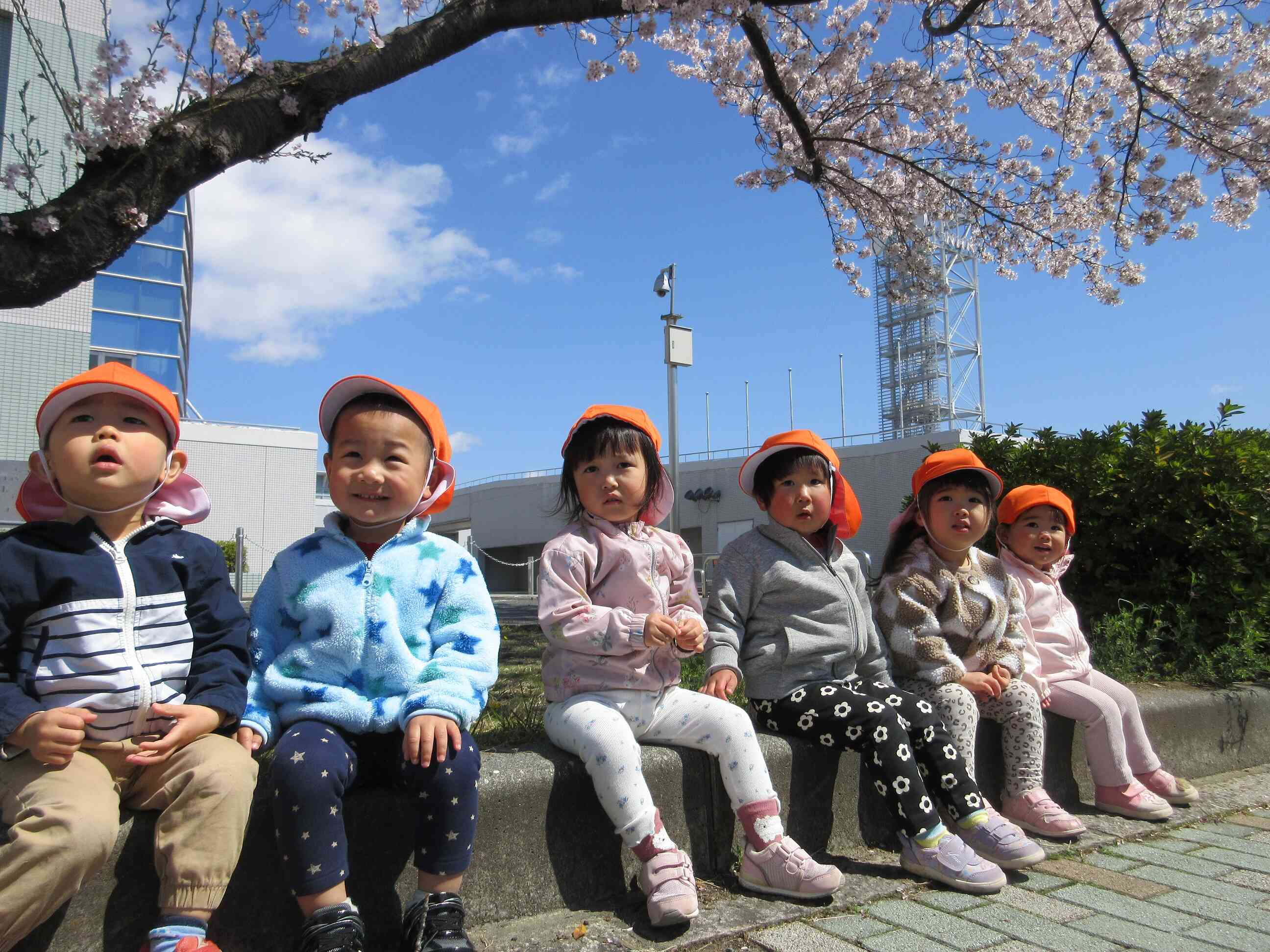 お花見したよ！