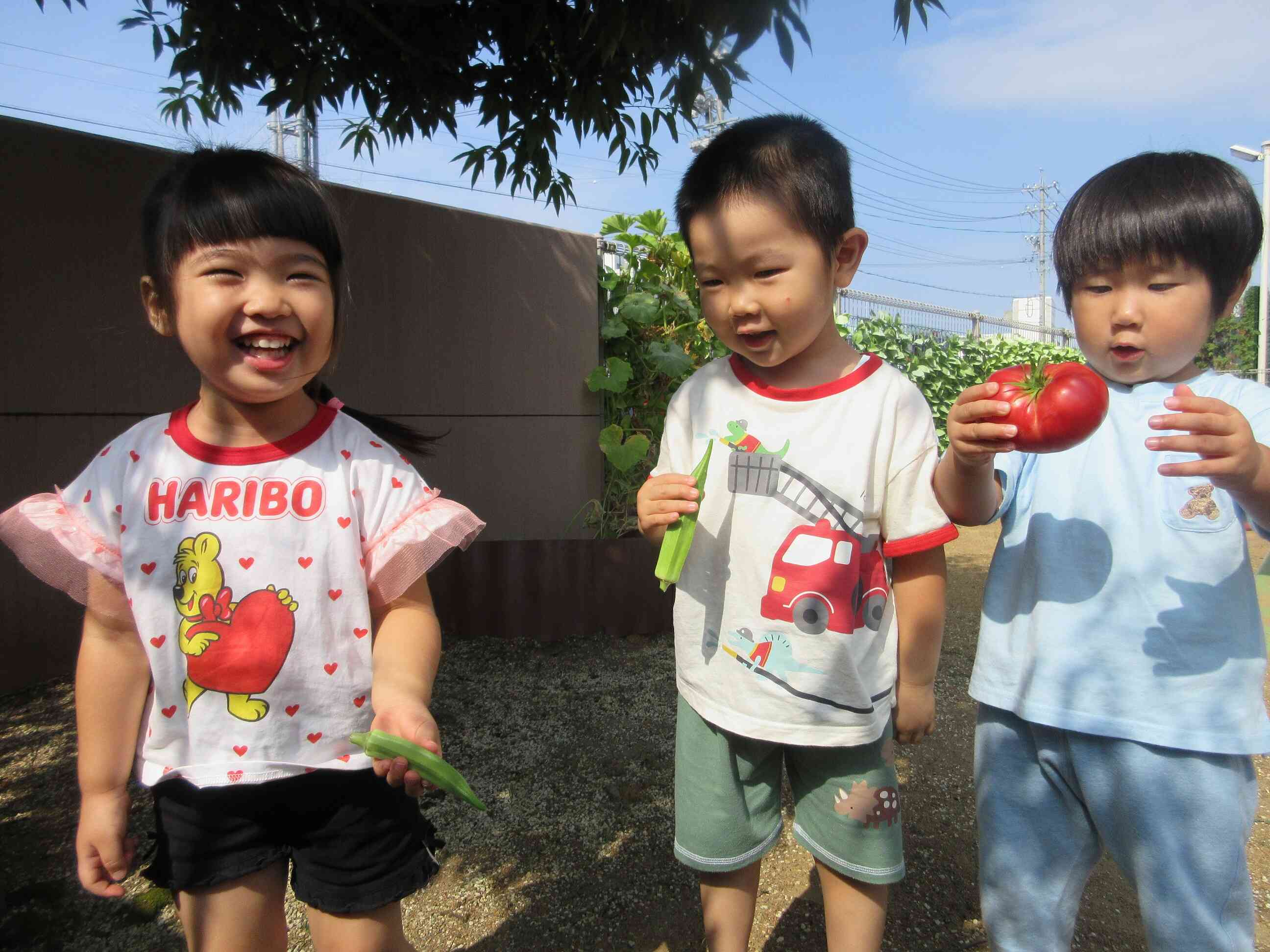 野菜もたくさん収穫！！
