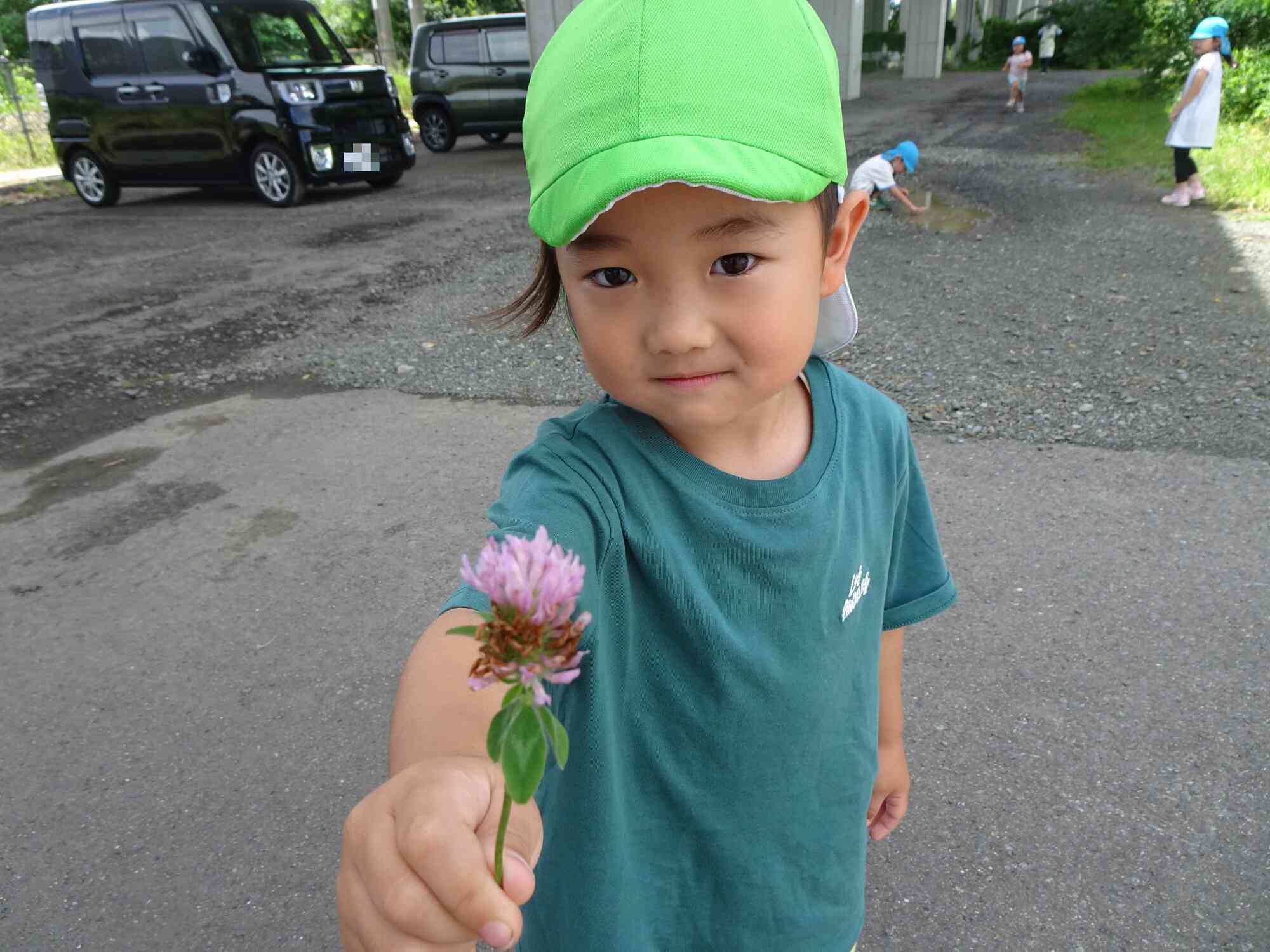 きれいなお花見つけた！