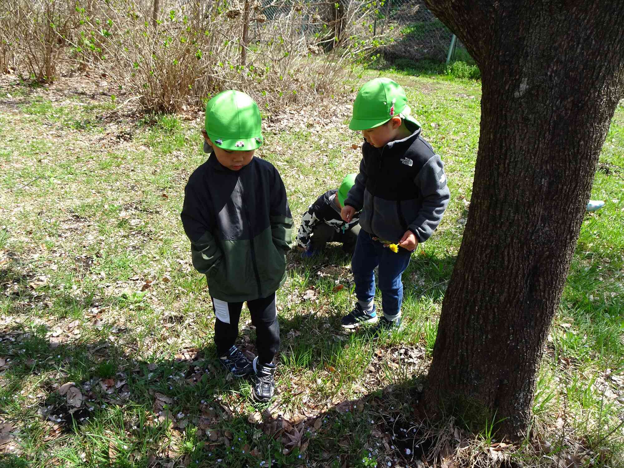 こちらでも何か発見があったようです…